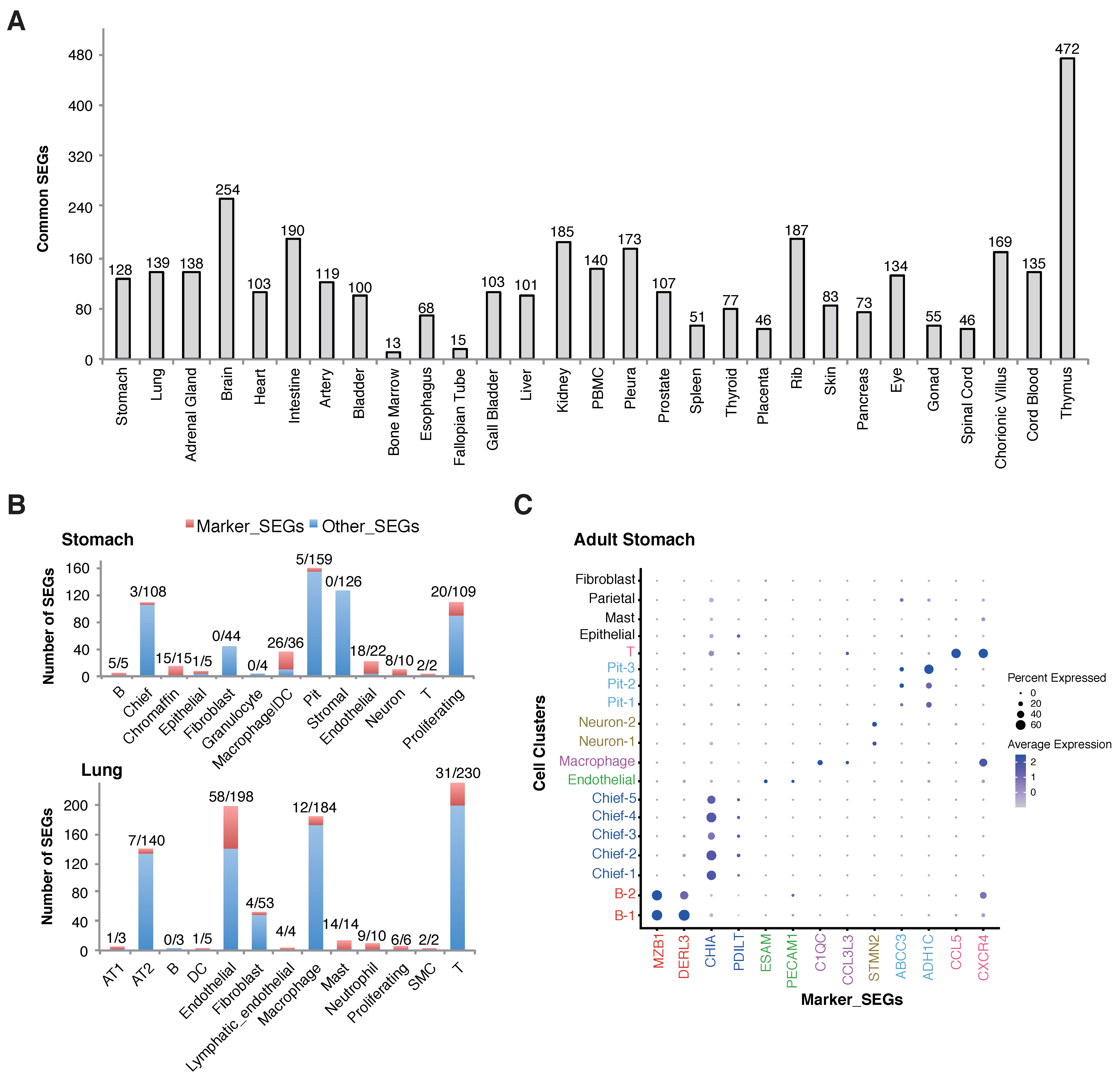 Ijms 23 10214 g004 550