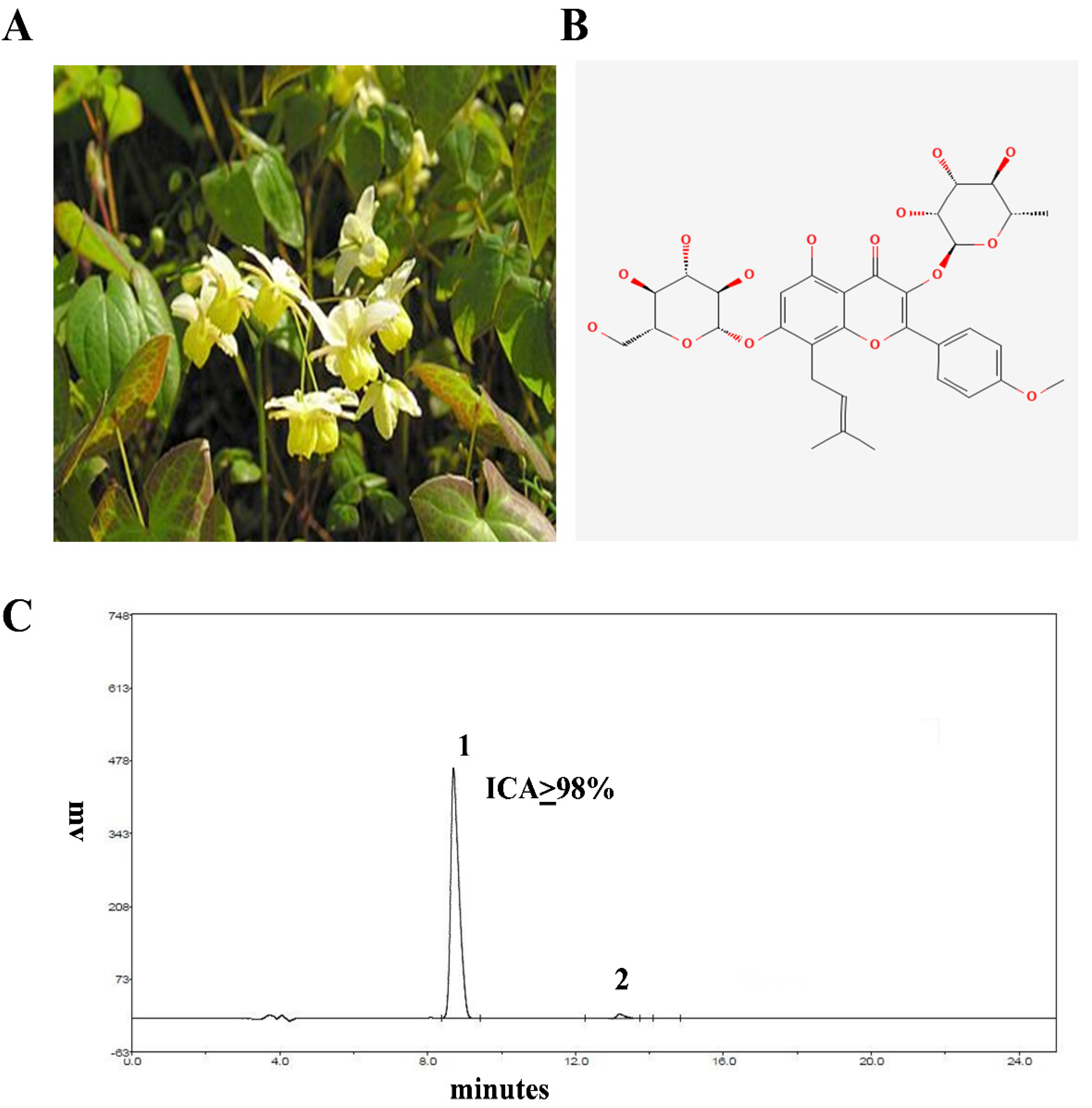 Ijms 23 10219 g001 550