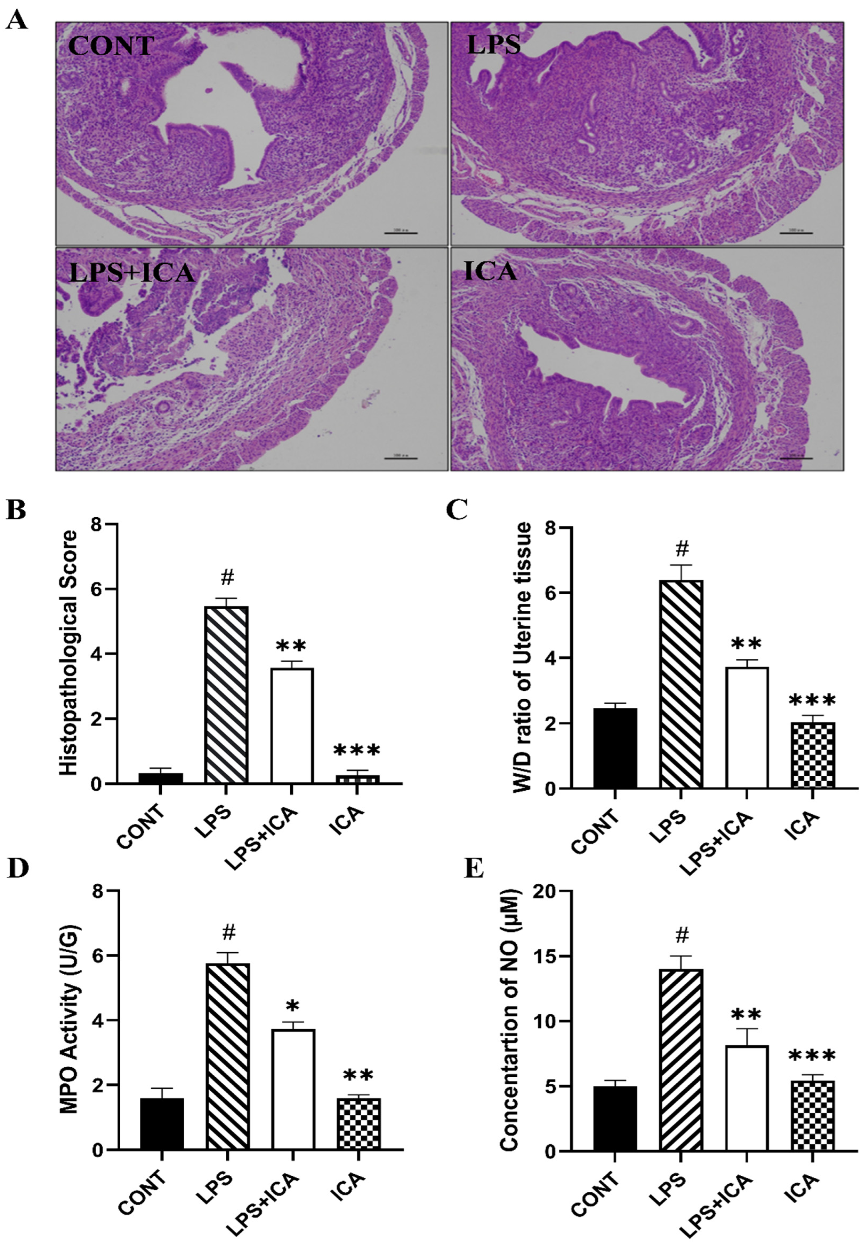 Ijms 23 10219 g002 550