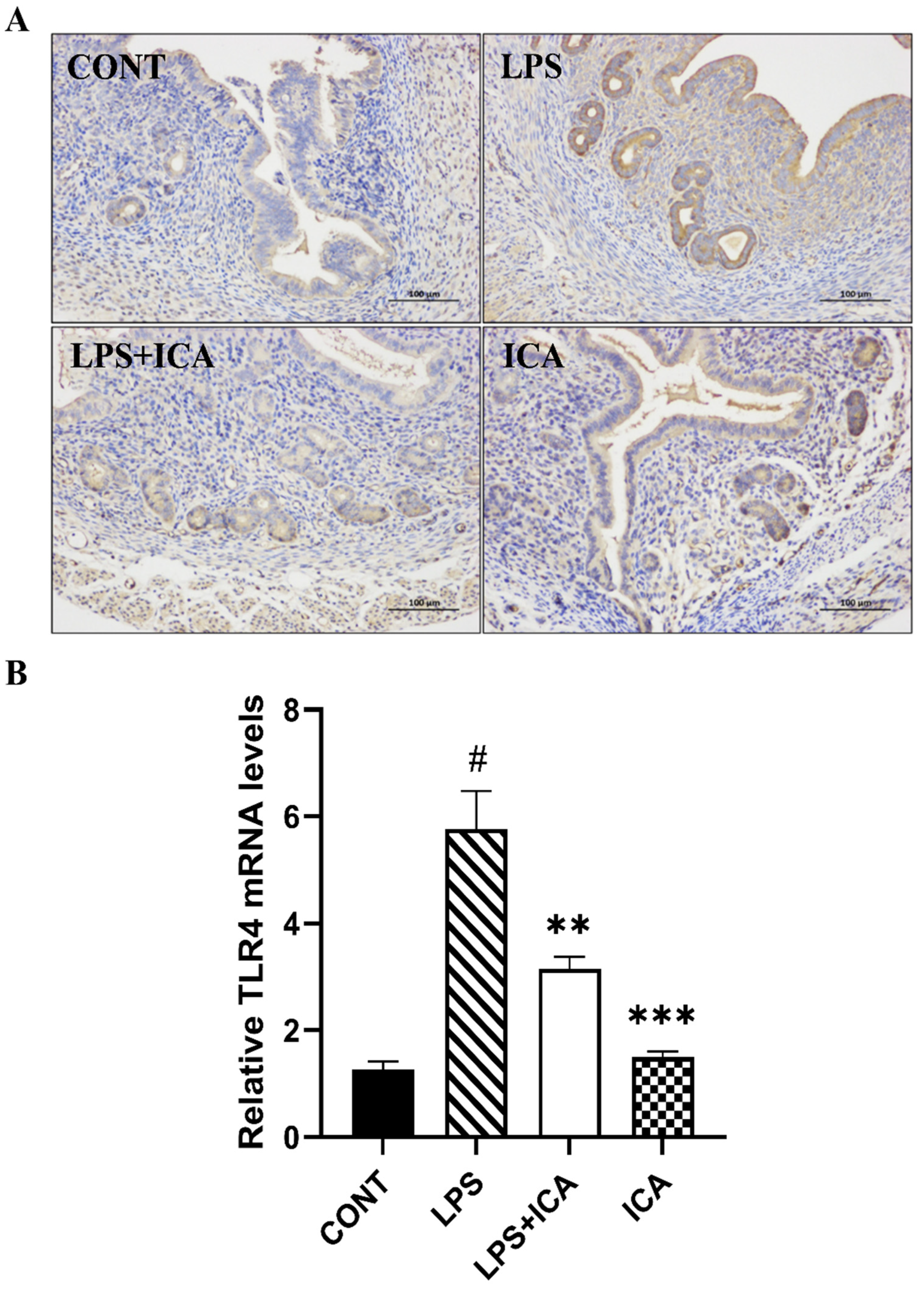 Ijms 23 10219 g004 550