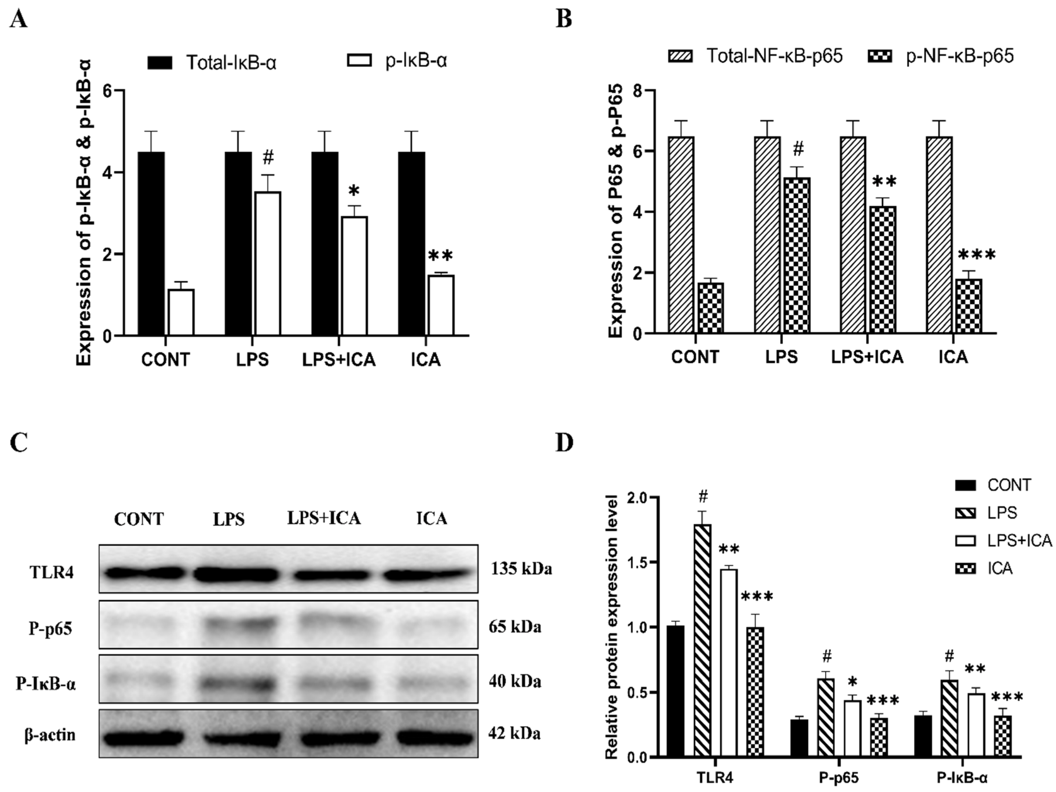 Ijms 23 10219 g005 550