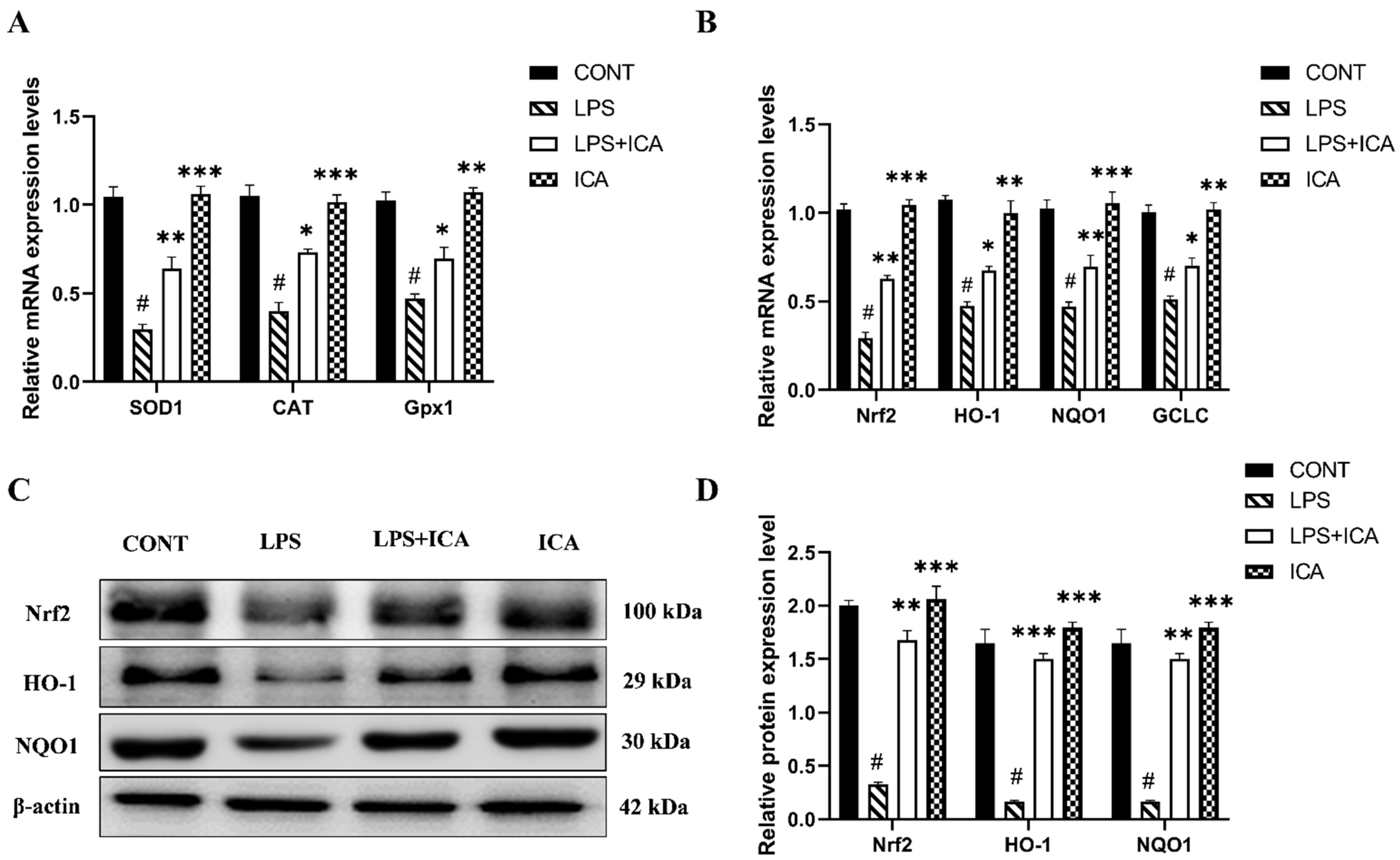Ijms 23 10219 g006 550