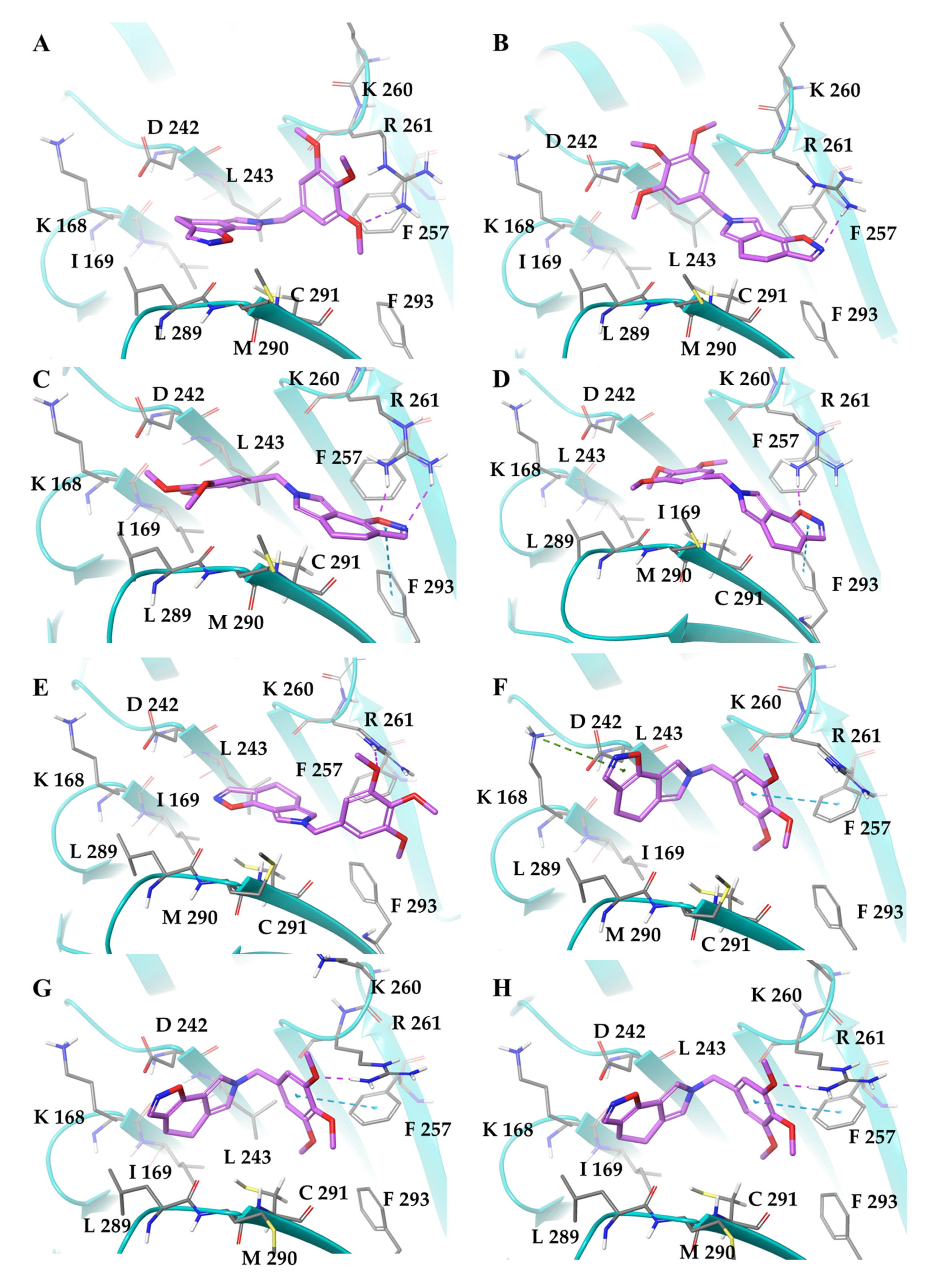 Ijms 23 10222 g002 550