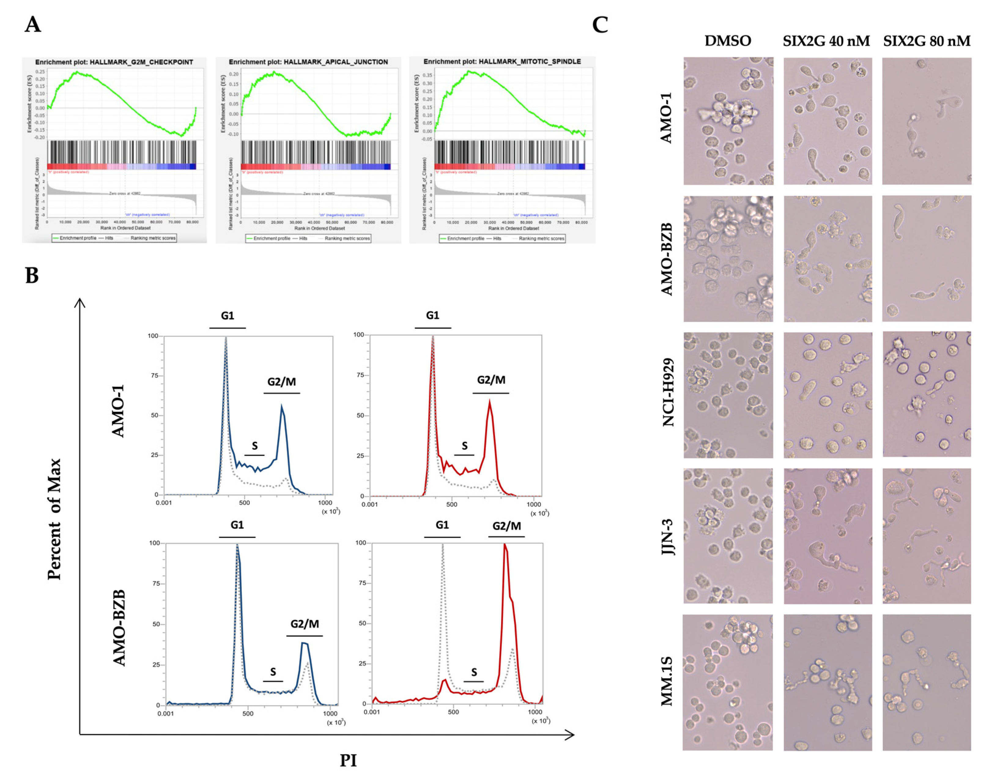 Ijms 23 10222 g005 550