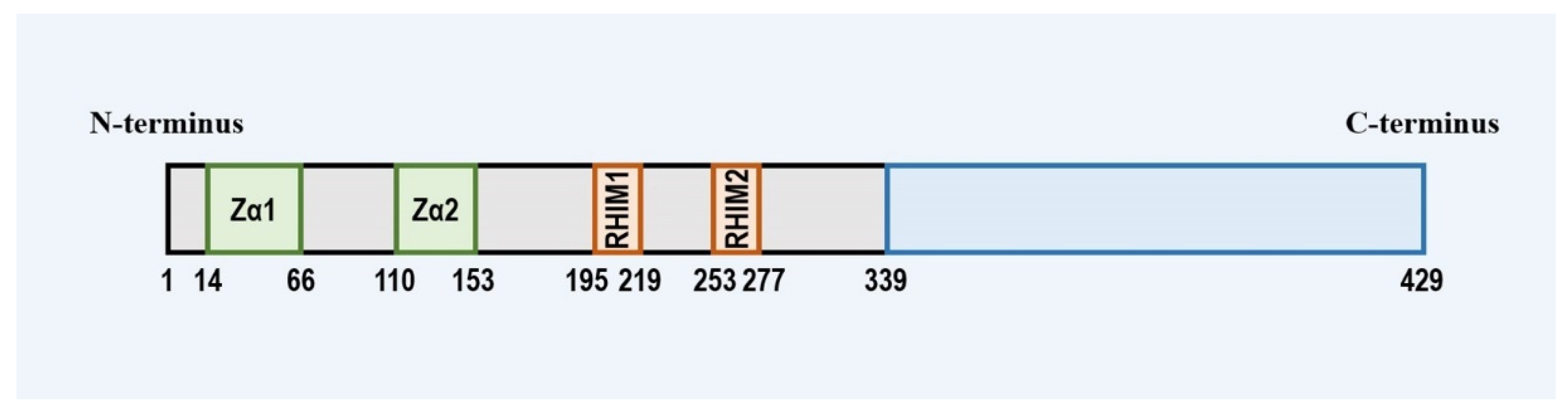 Ijms 23 10224 g001 550