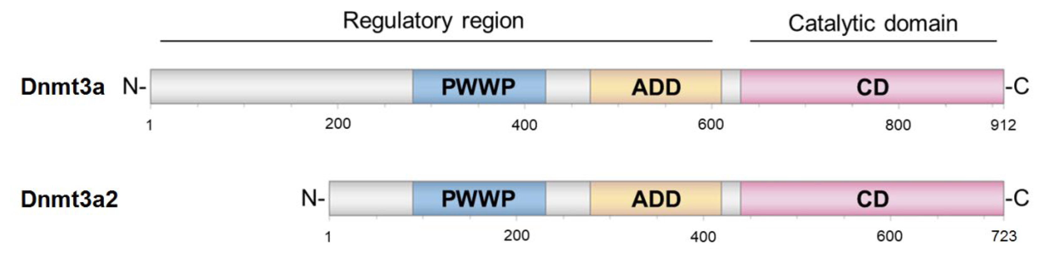 Ijms 23 10226 g001 550