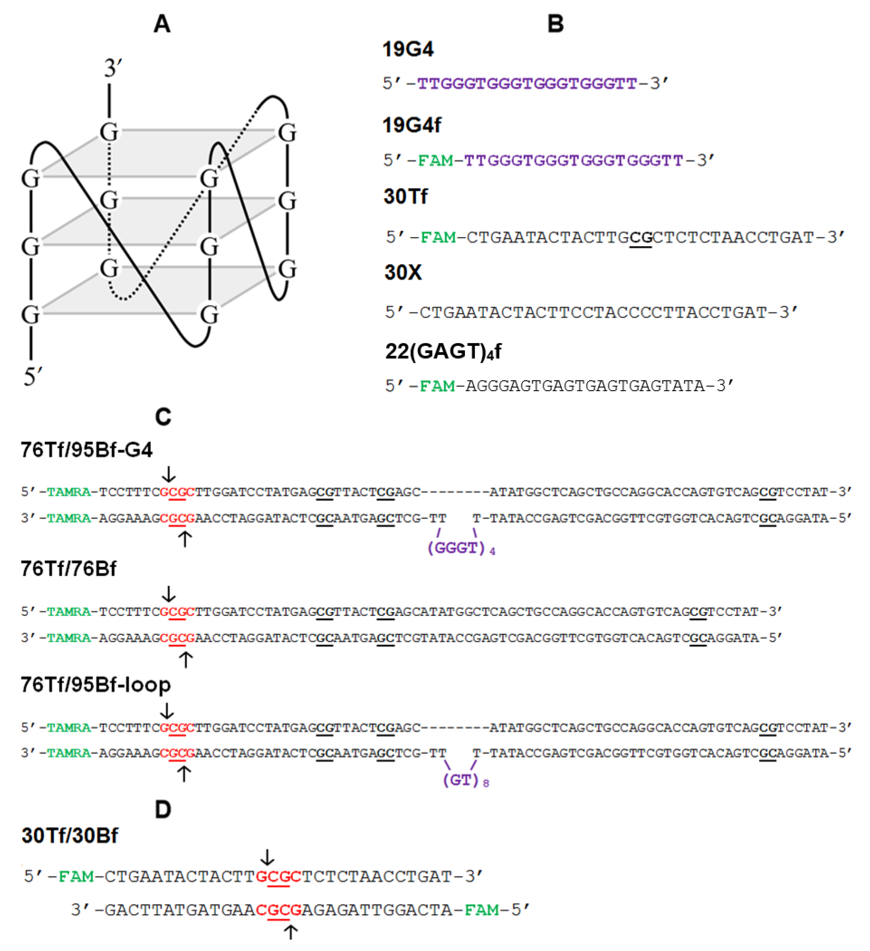 Ijms 23 10226 g002 550