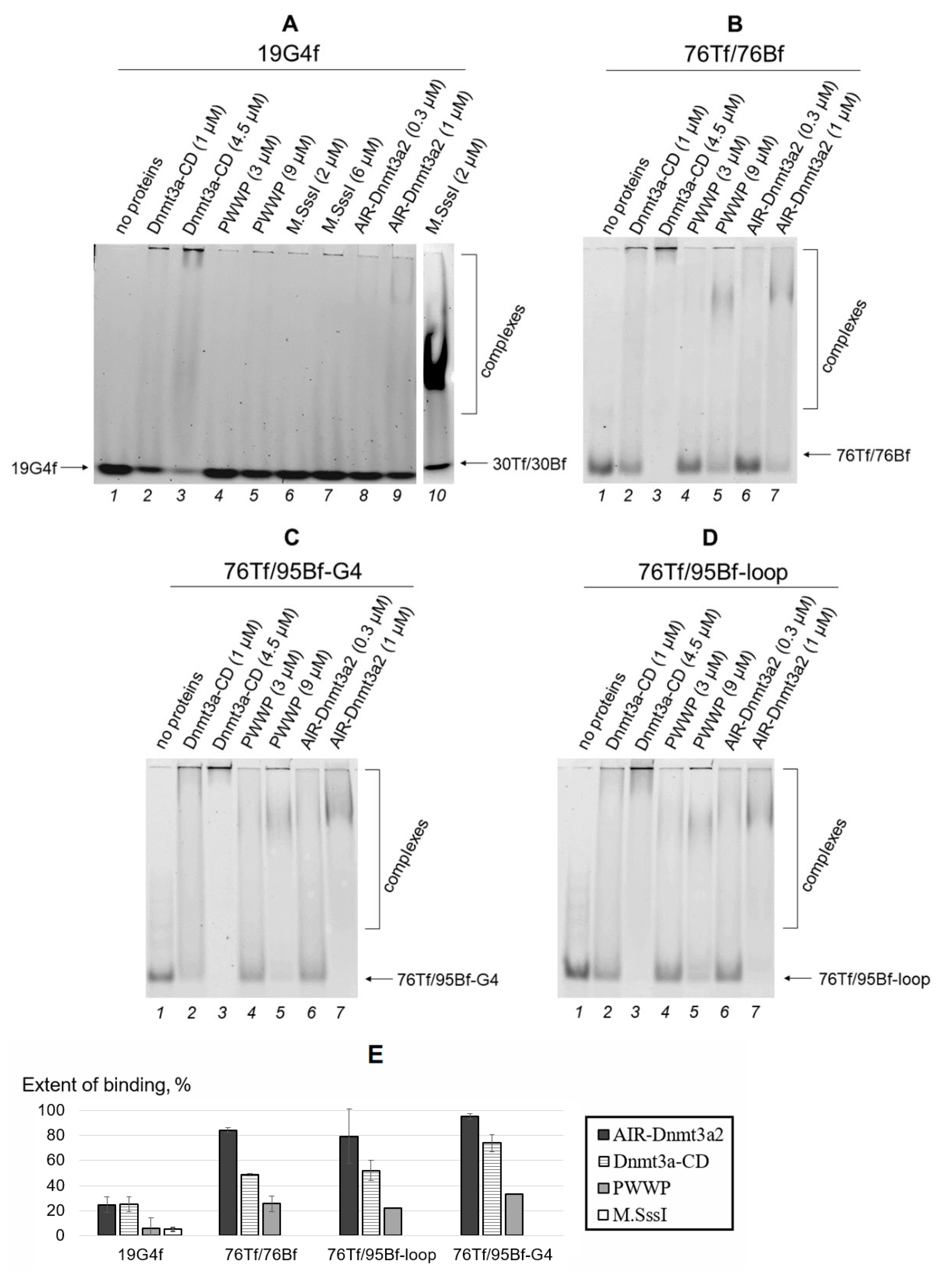 Ijms 23 10226 g004 550