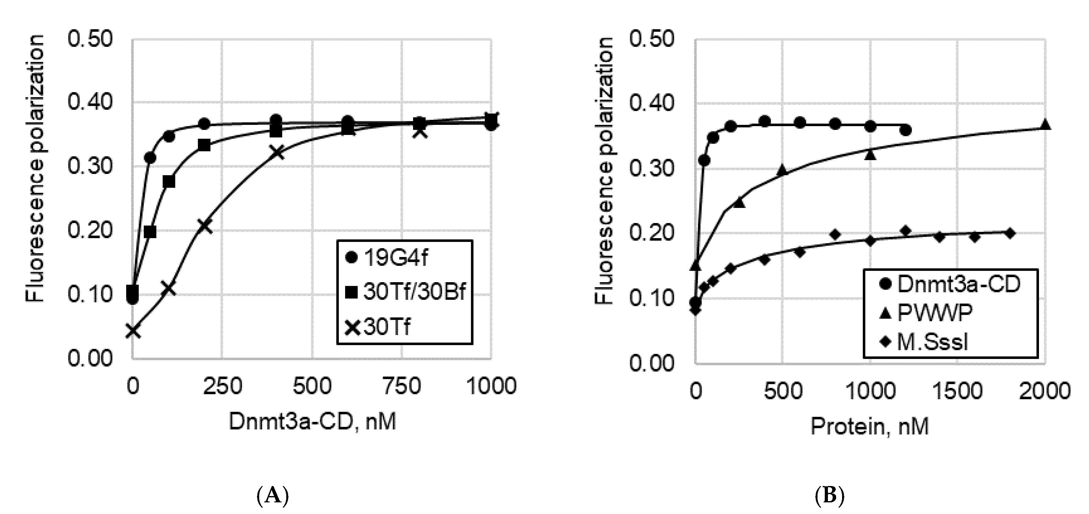 Ijms 23 10226 g005 550