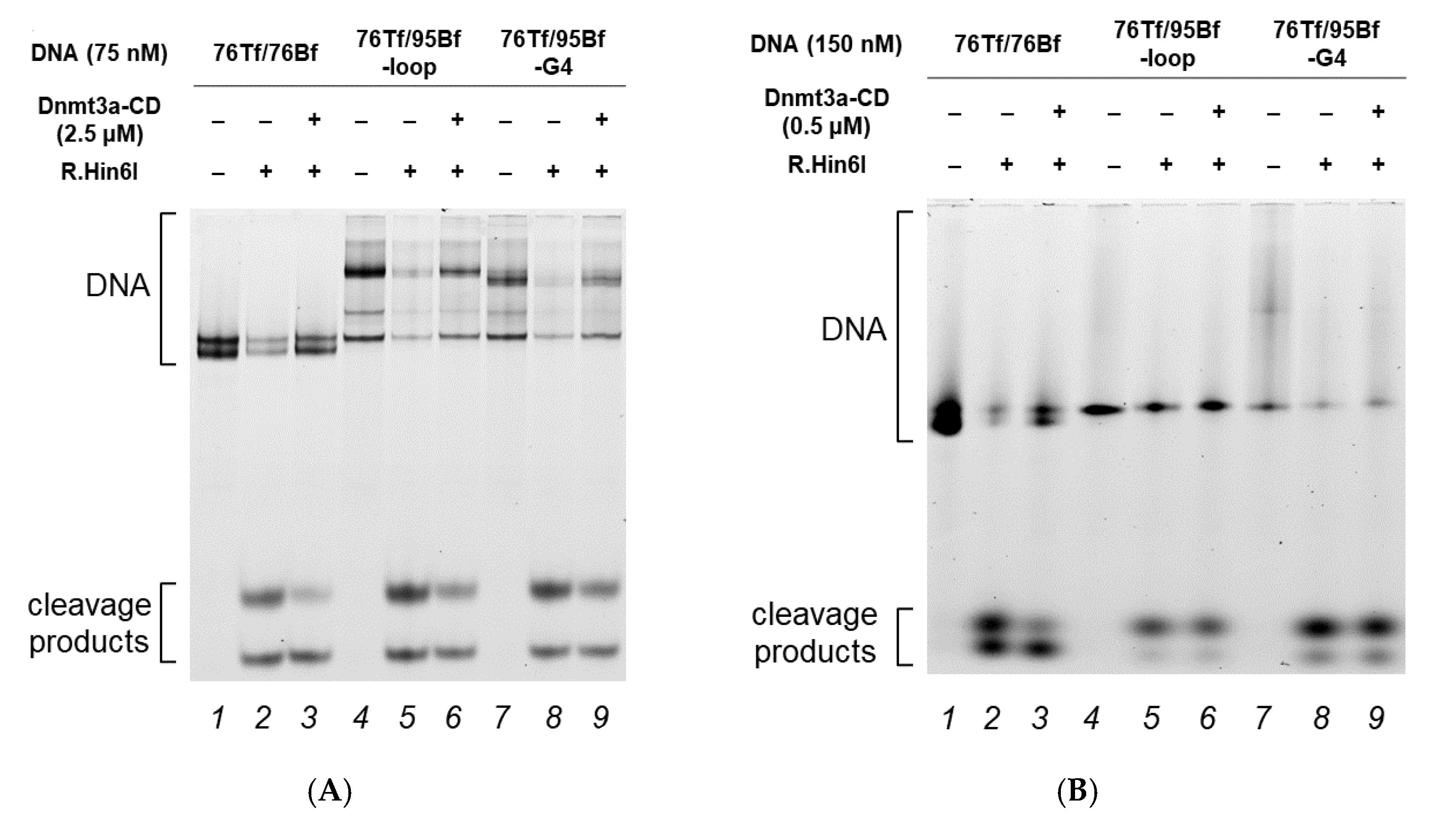 Ijms 23 10226 g007 550