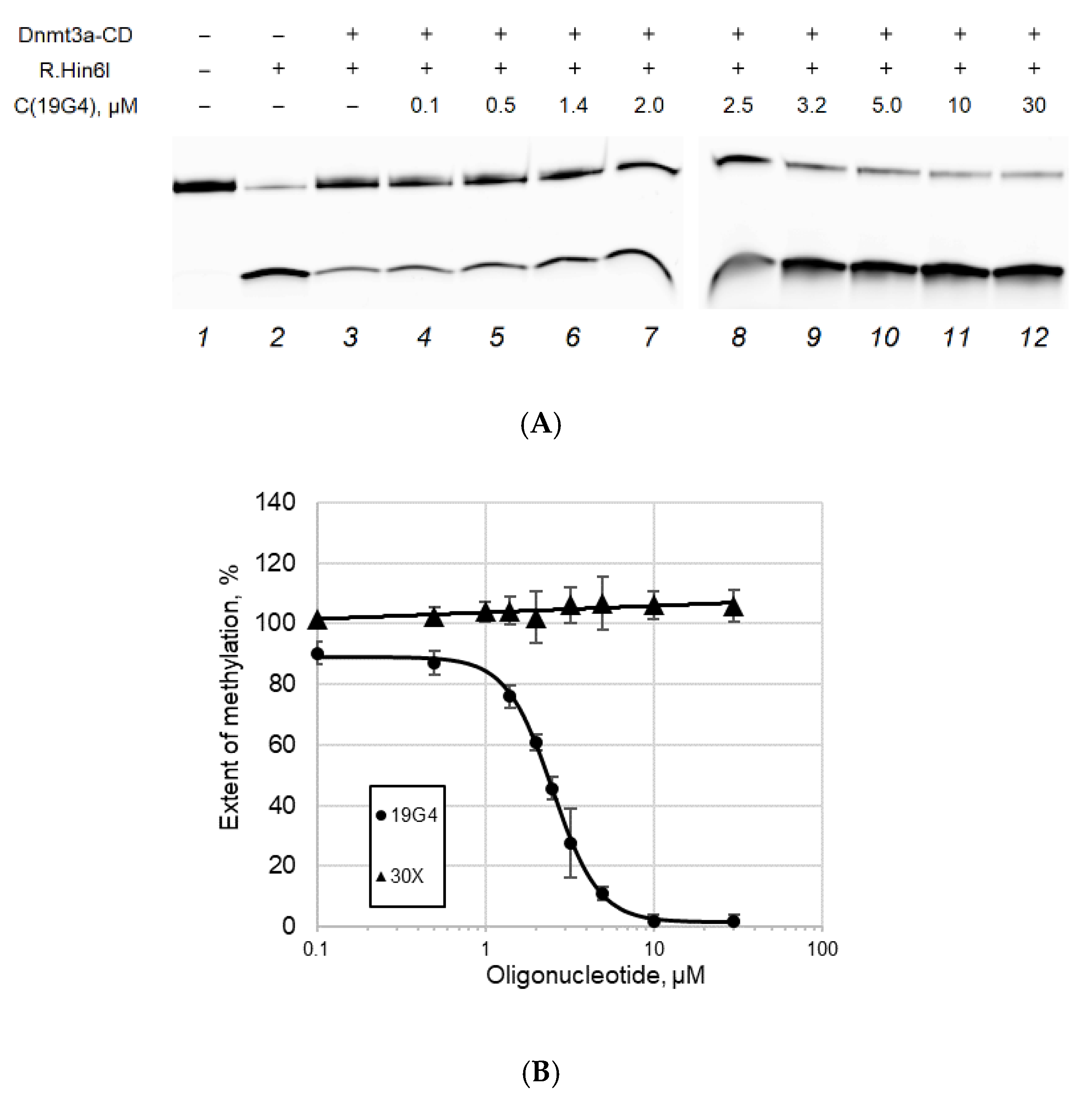 Ijms 23 10226 g008 550