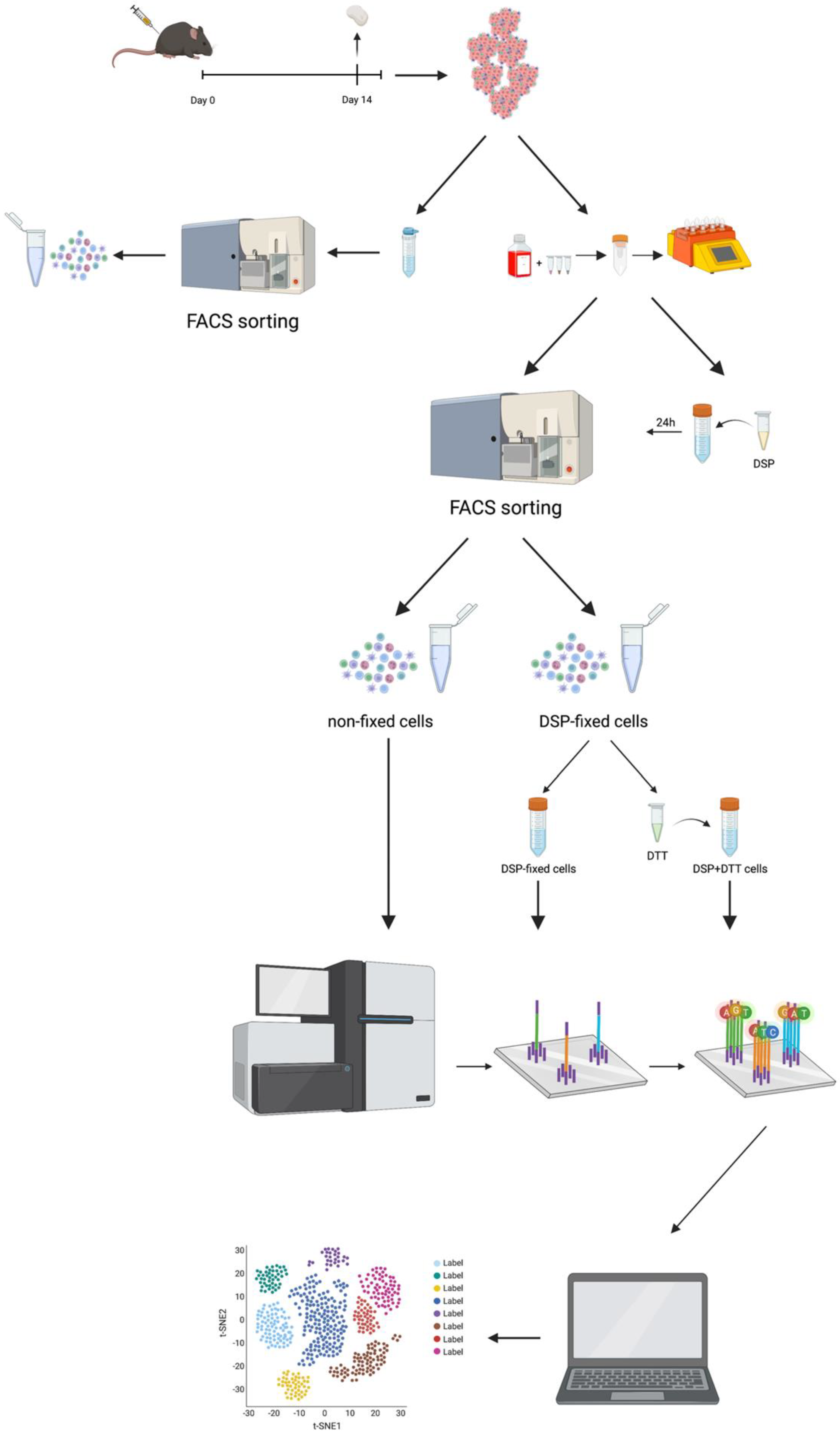 IJMS | Free Full-Text | An Innovative Approach to Tissue