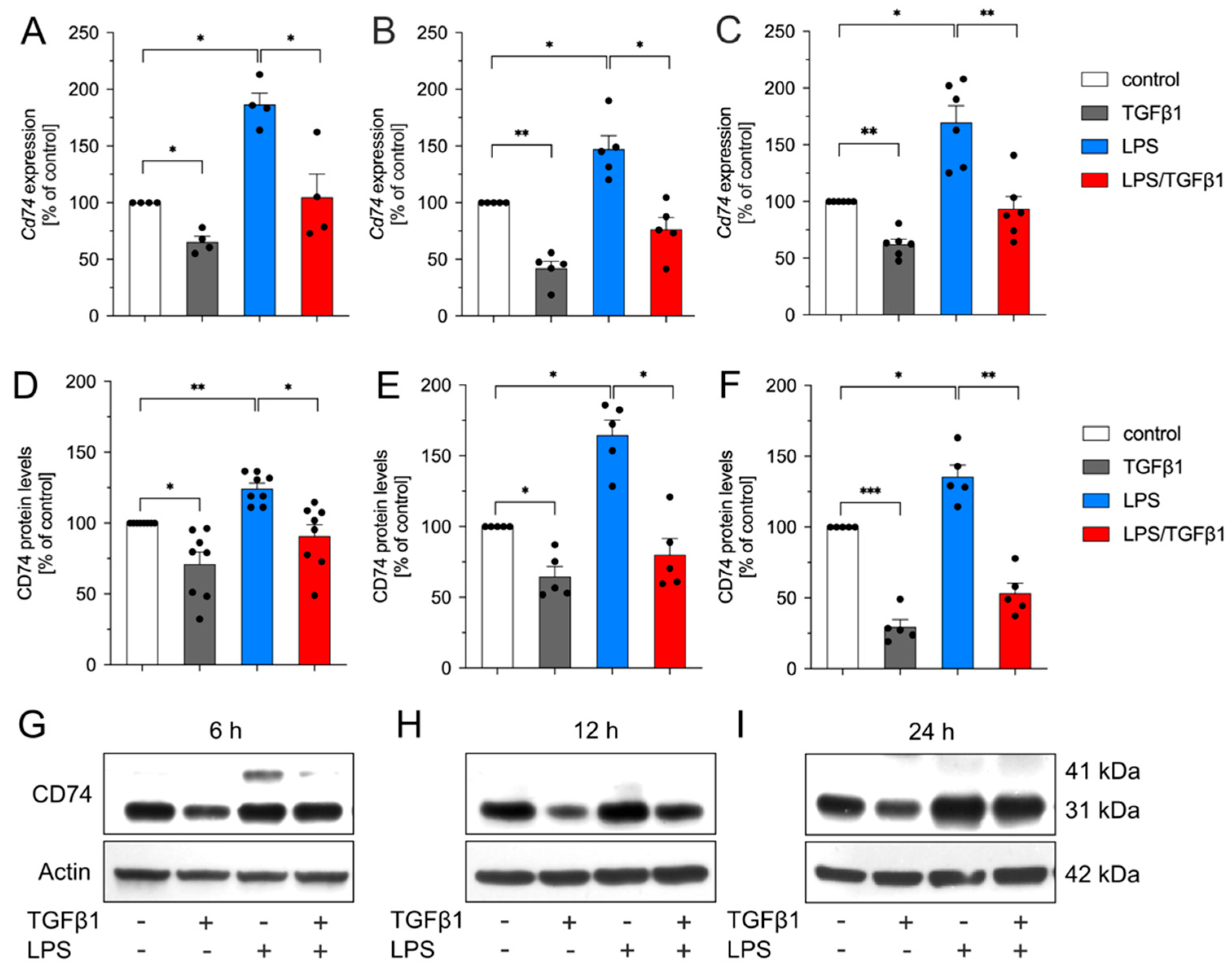 Ijms 23 10247 g001 550