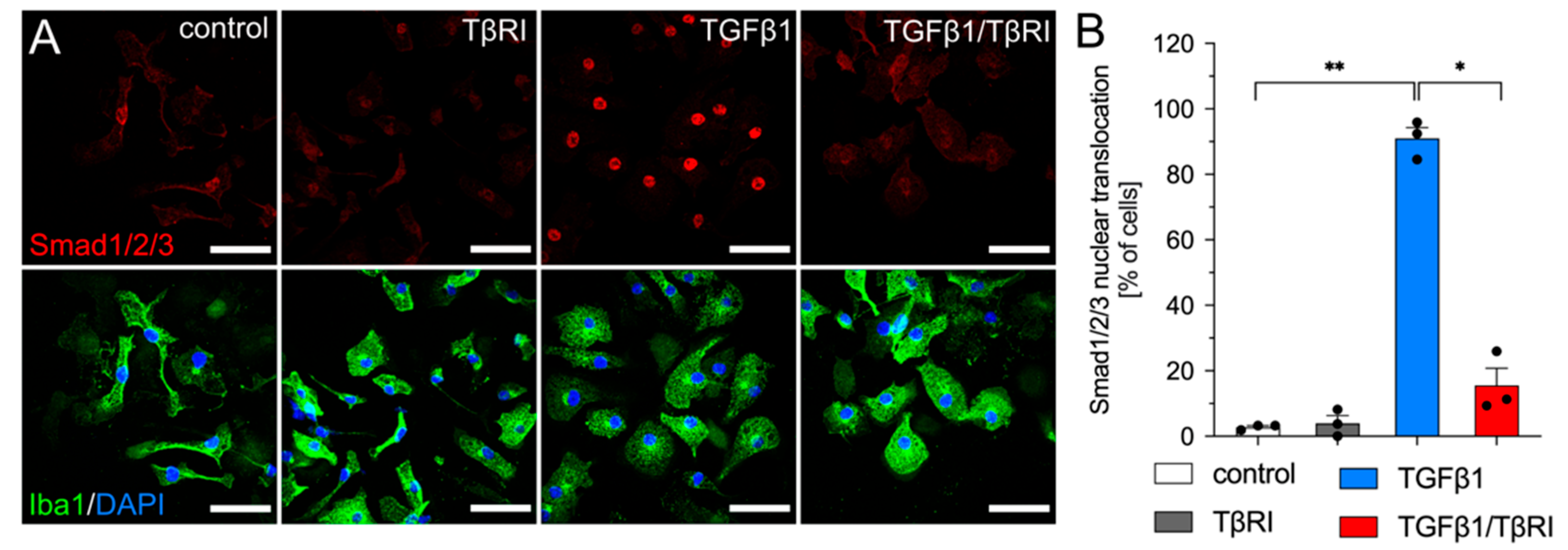 Ijms 23 10247 g003 550