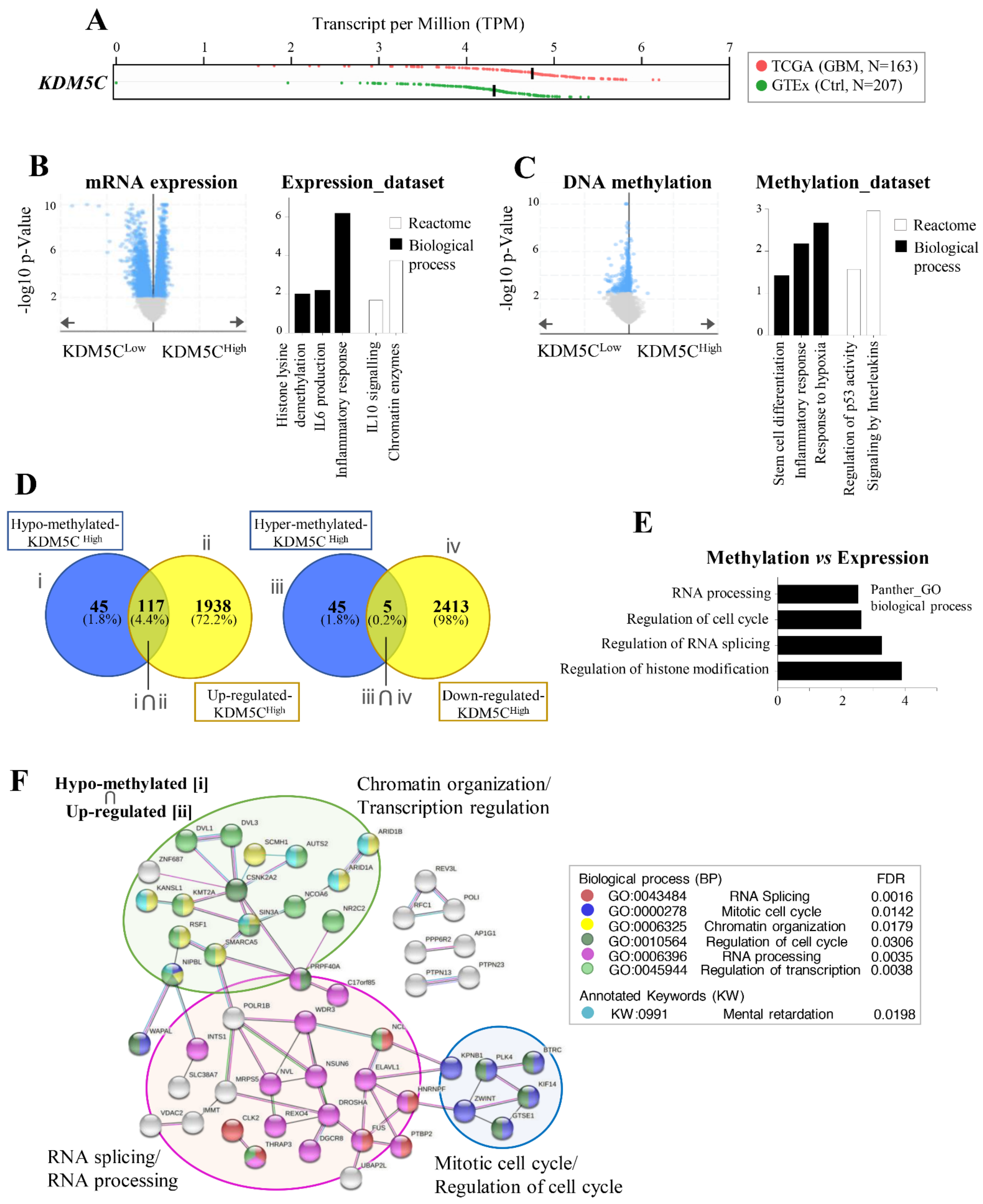 Ijms 23 10250 g004 Ijms 23 10250 g004