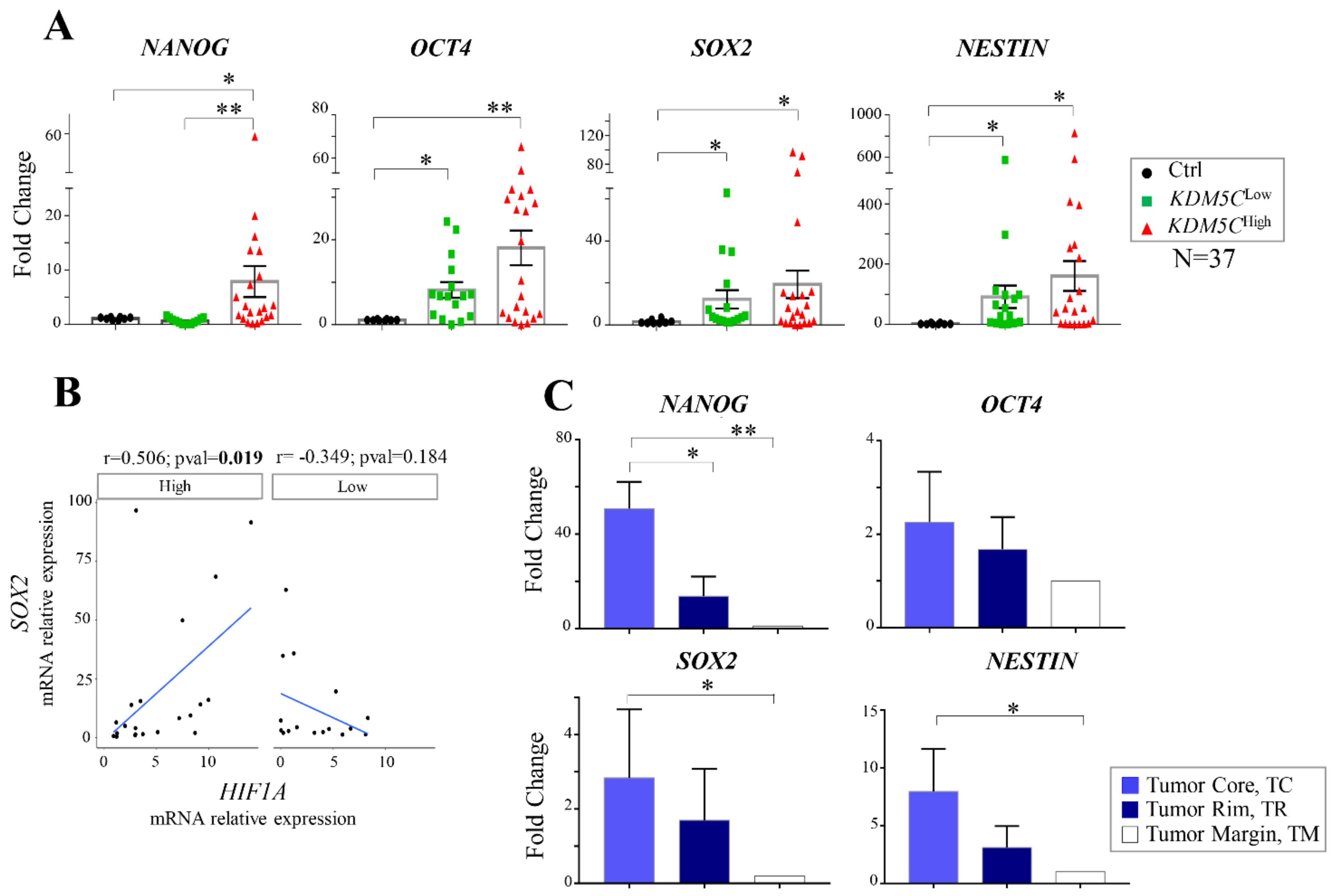 Ijms 23 10250 g005 Ijms 23 10250 g005