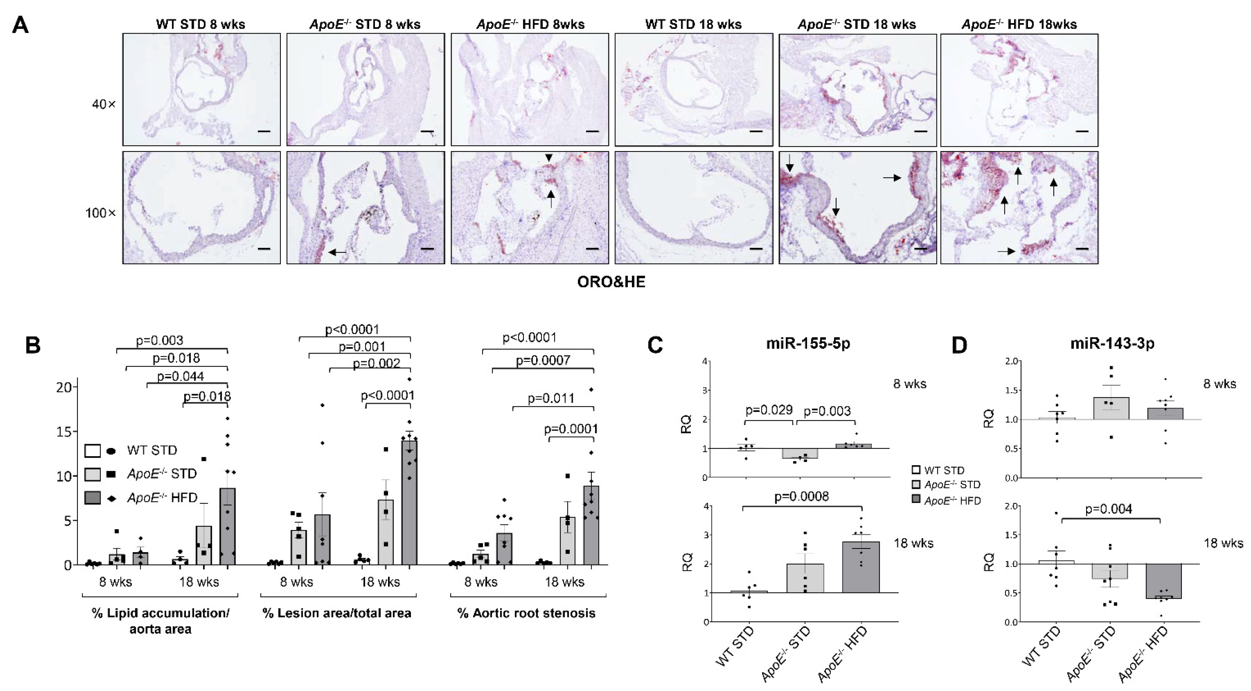 Ijms 23 10253 g001 550