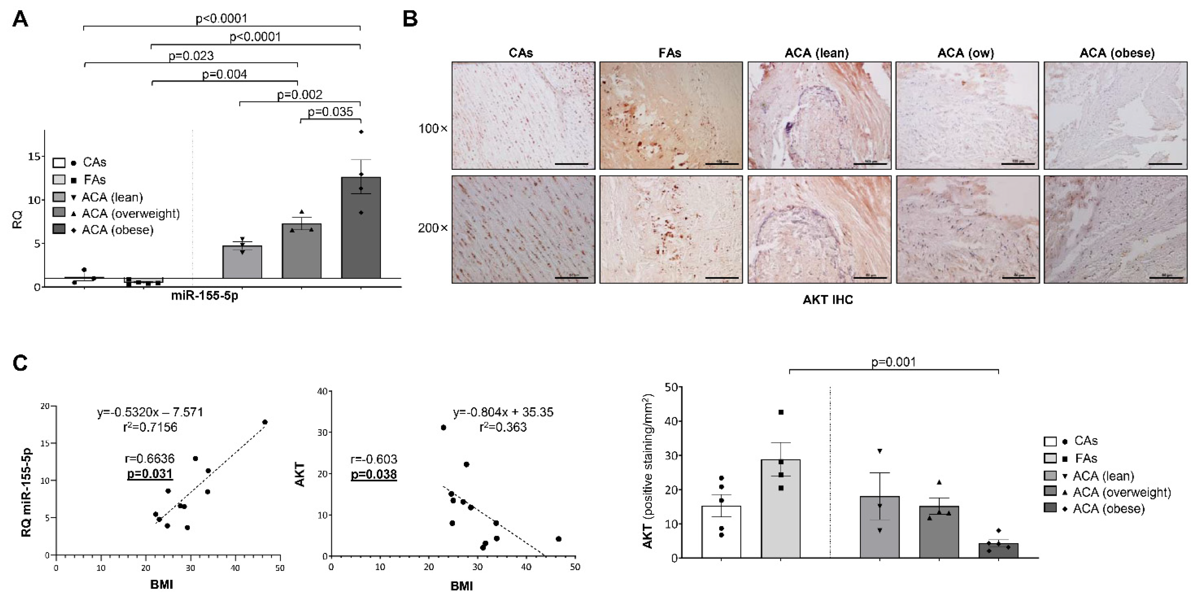 Ijms 23 10253 g005 550