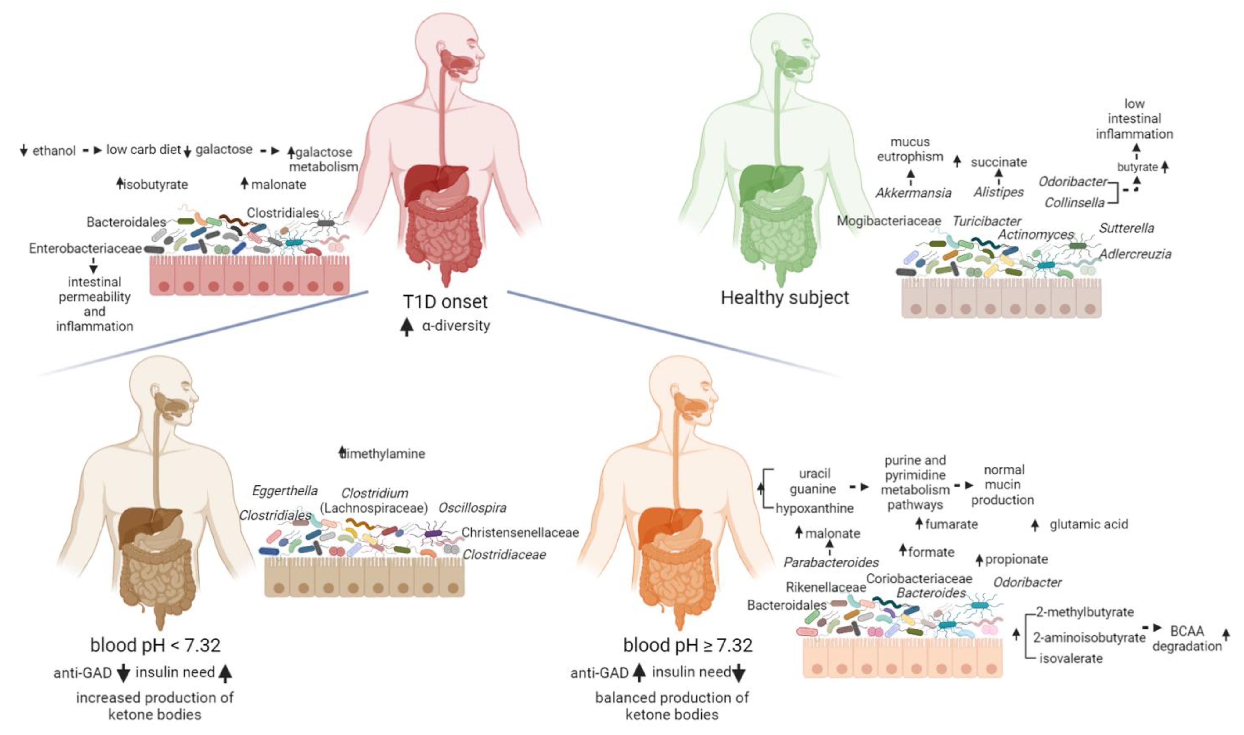 Ijms 23 10256 g005 550
