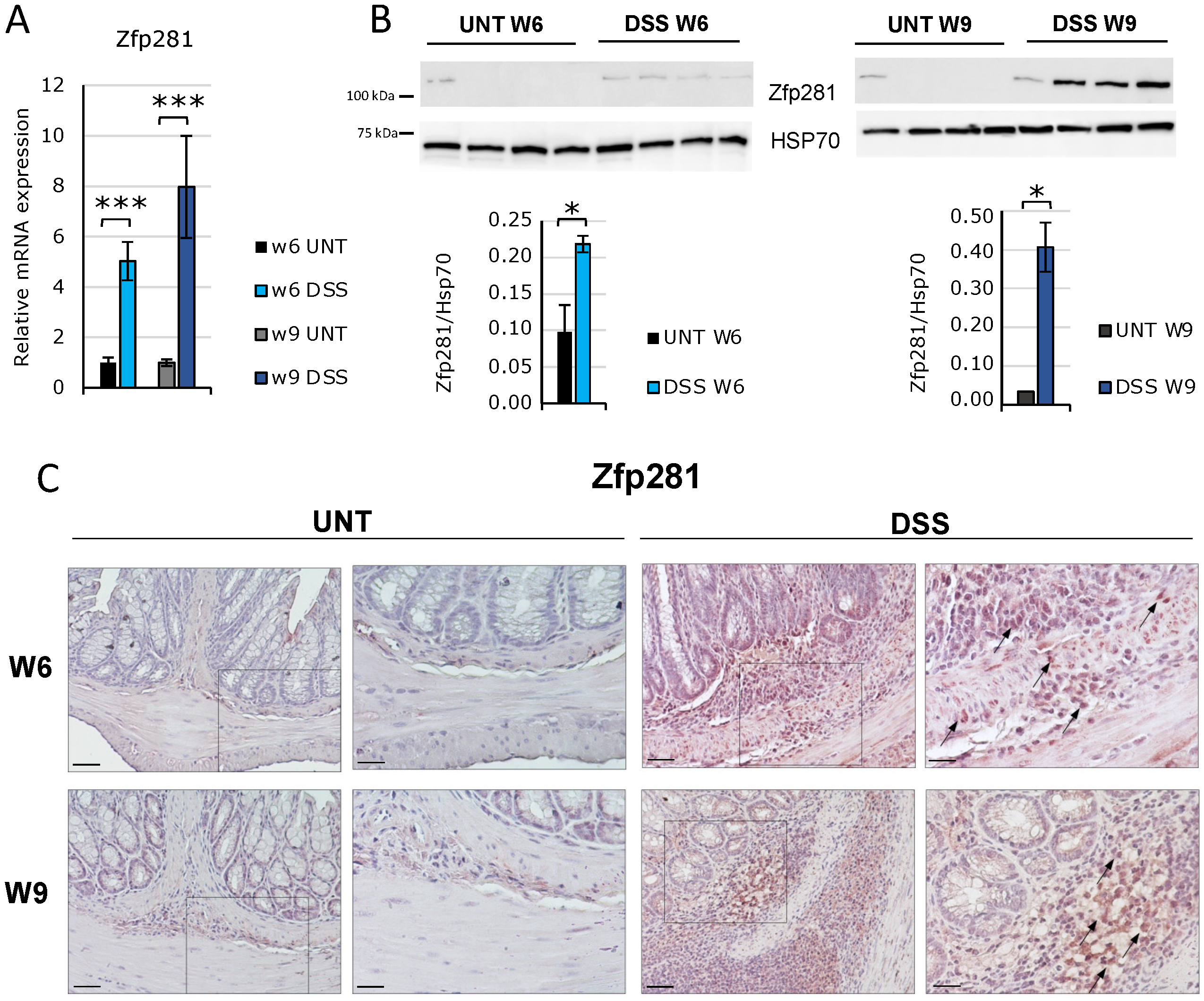 Ijms 23 10261 g001 550