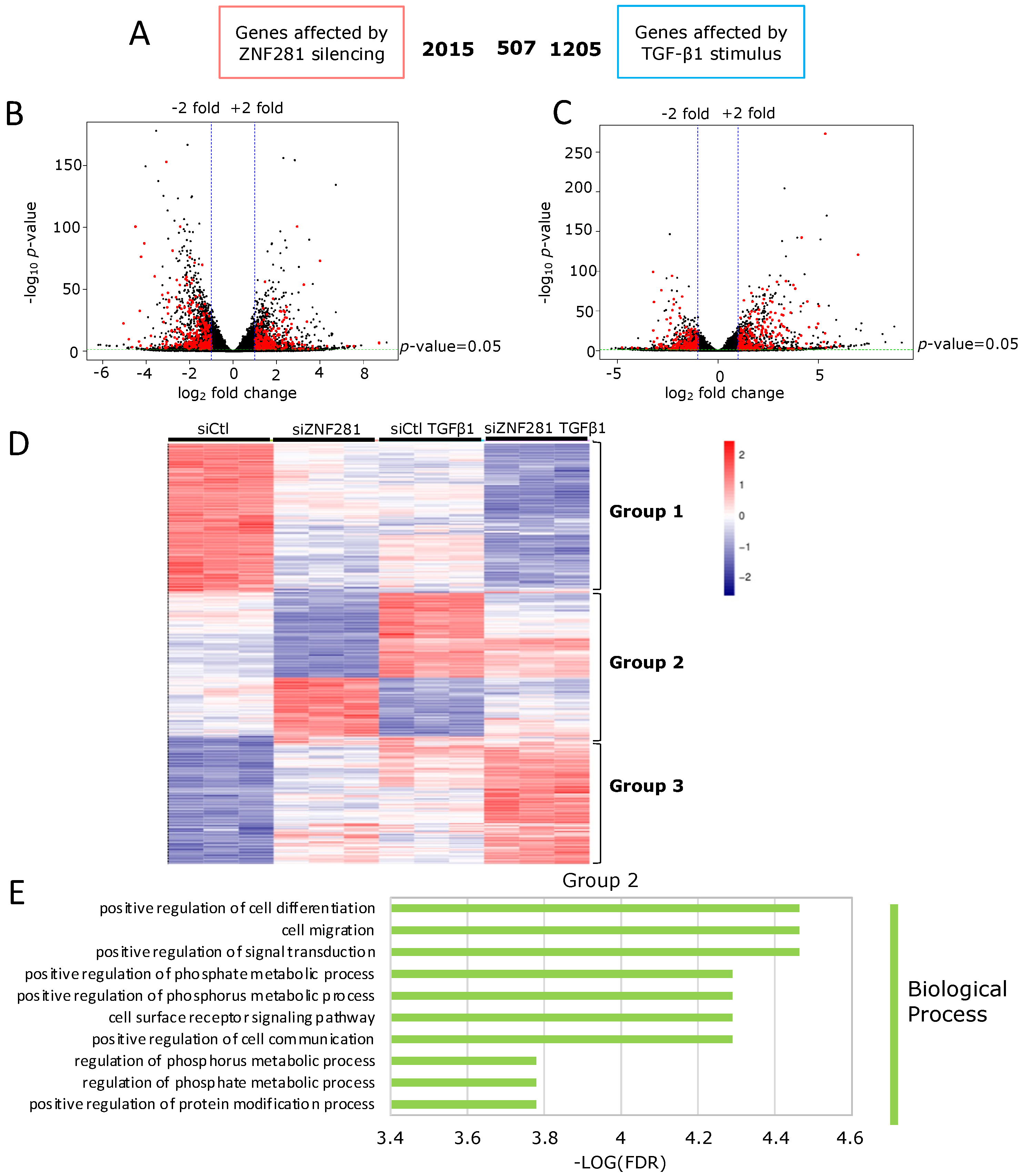 Ijms 23 10261 g004 550