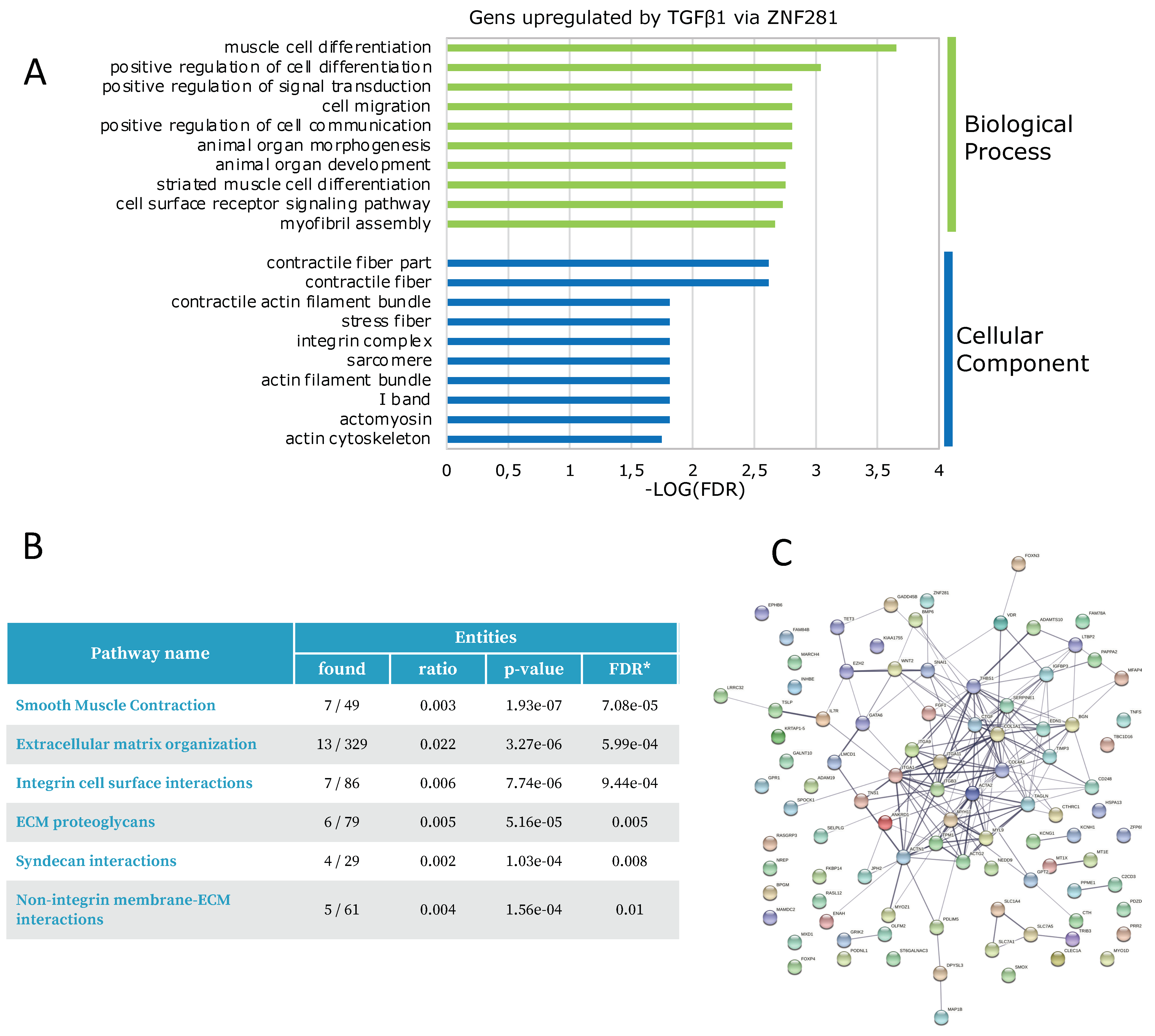 Ijms 23 10261 g005 550