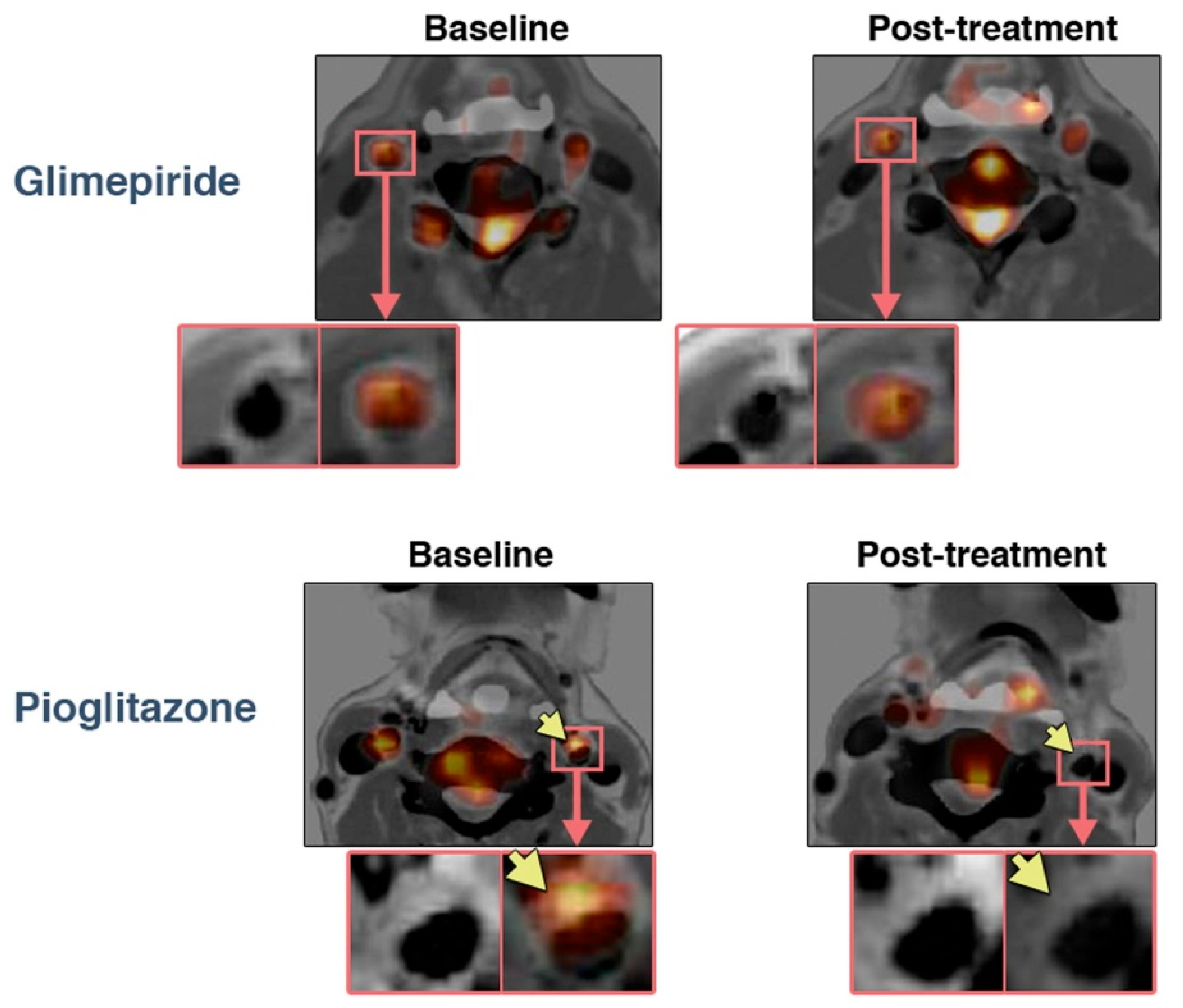 Ijms 23 10268 g002 Ijms 23 10268 g002