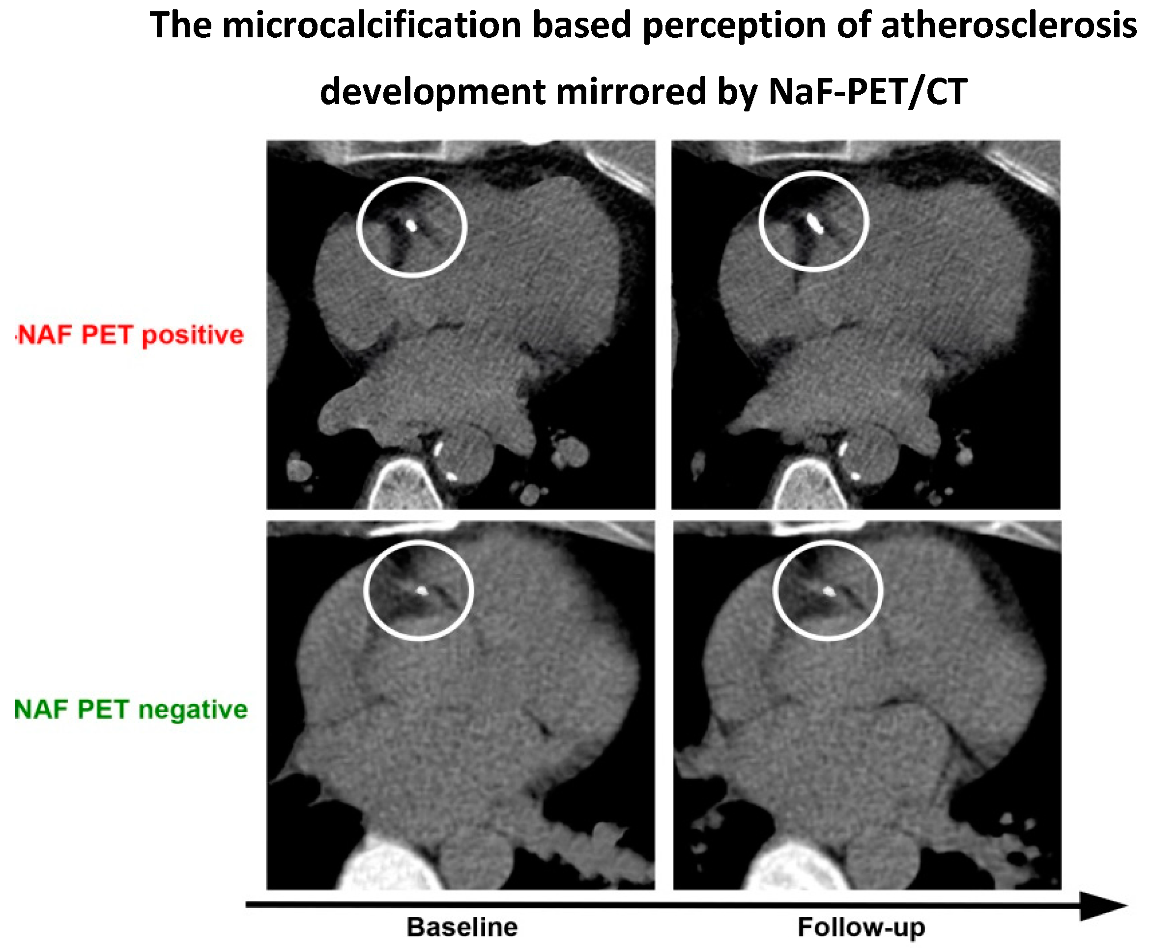 Ijms 23 10268 g003 Ijms 23 10268 g003