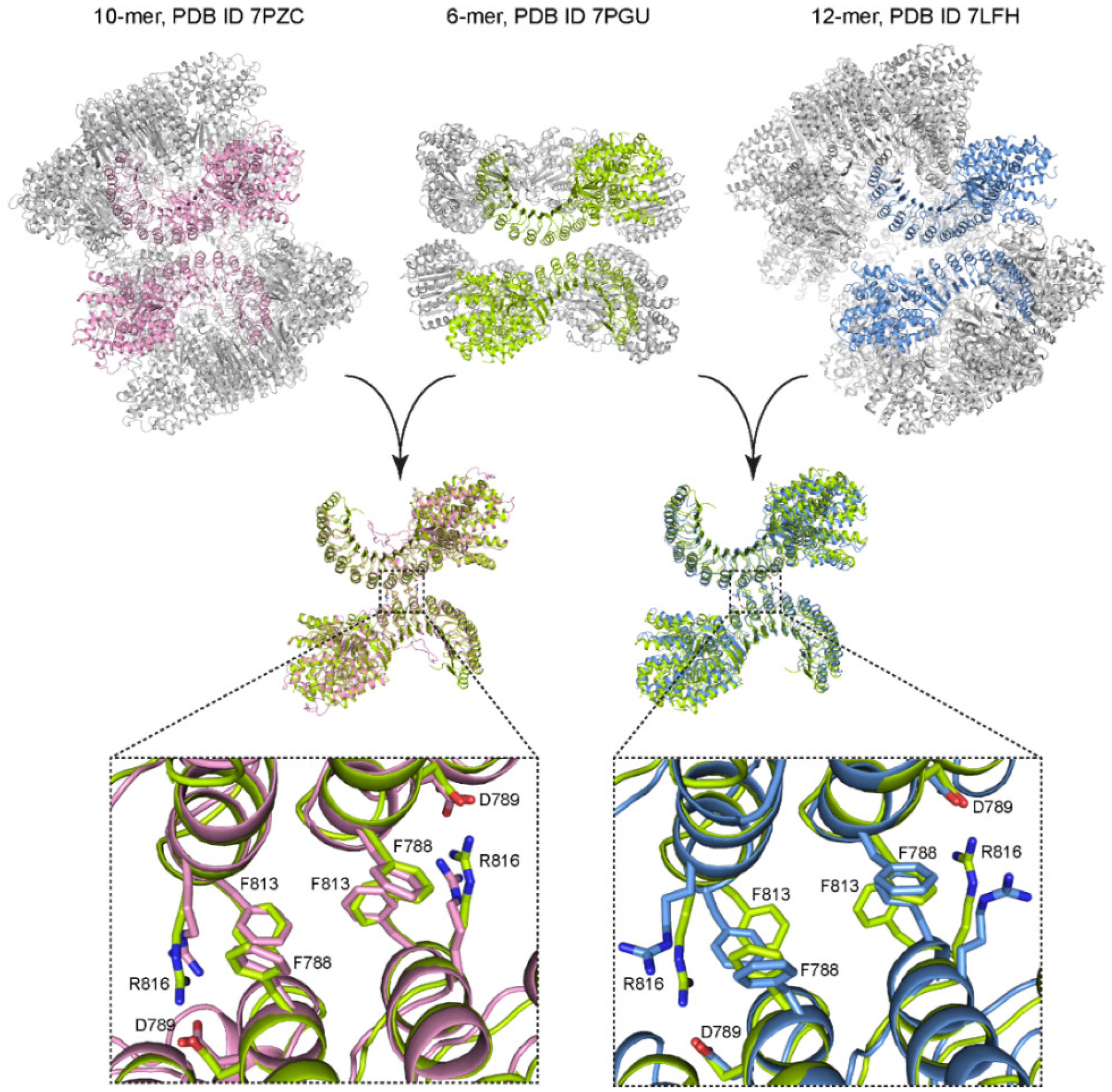 Ijms 23 10269 g002 550