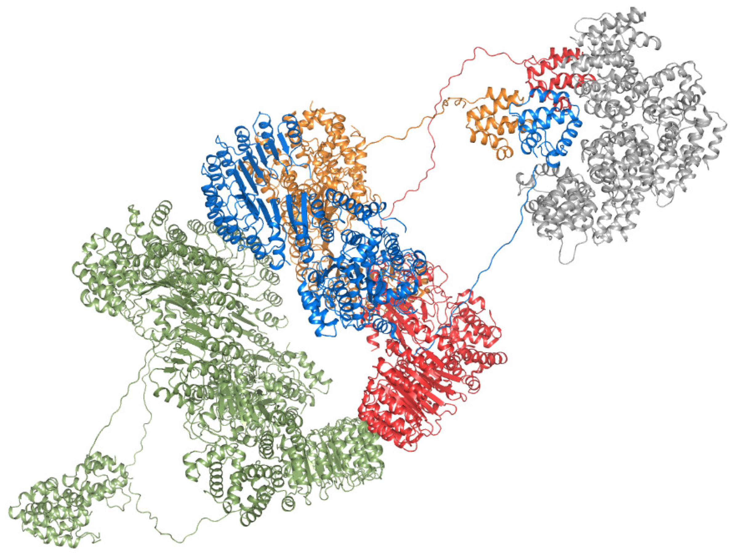 Ijms 23 10269 g004 550