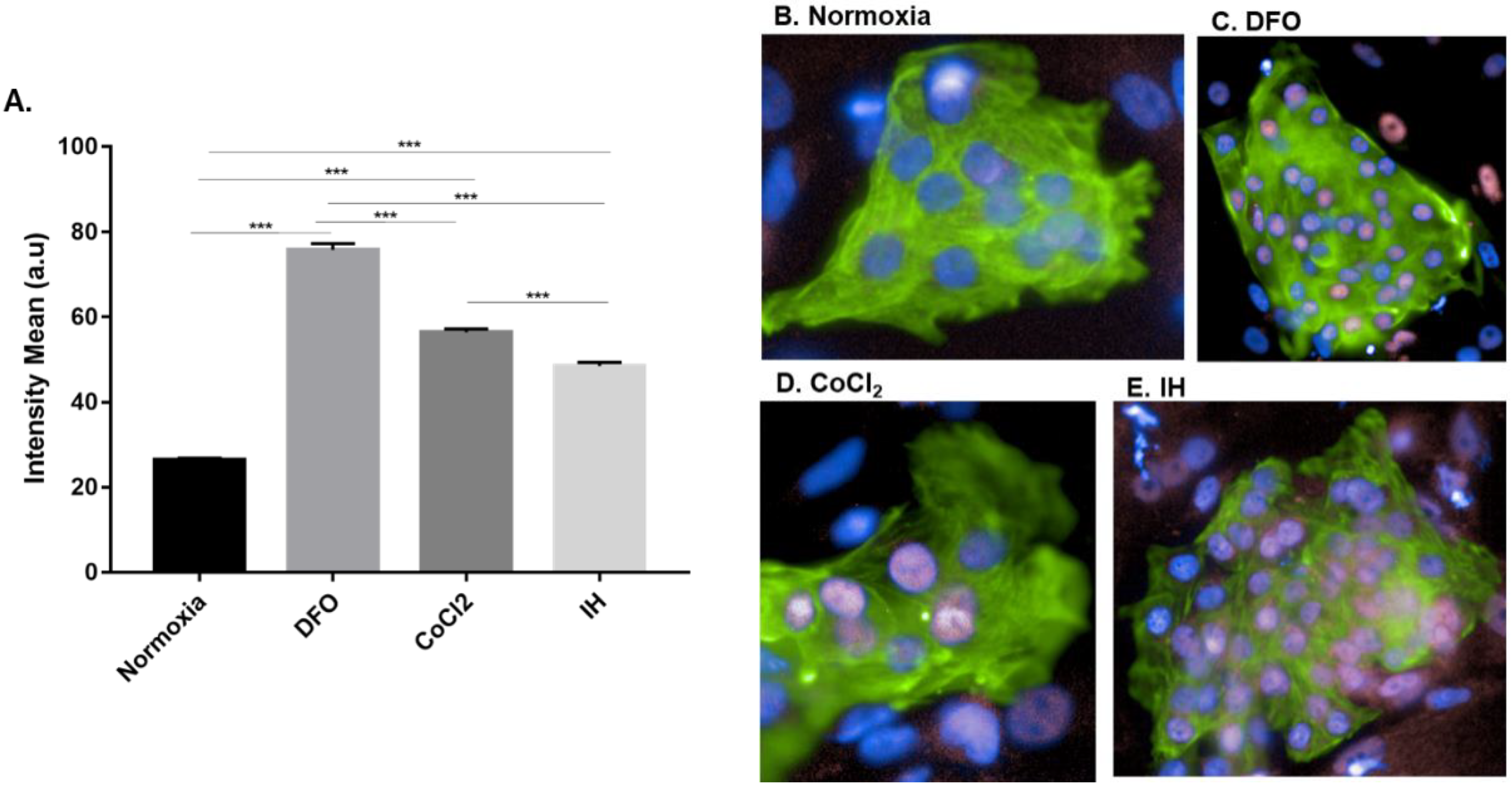 Ijms 23 10272 g001 Ijms 23 10272 g001