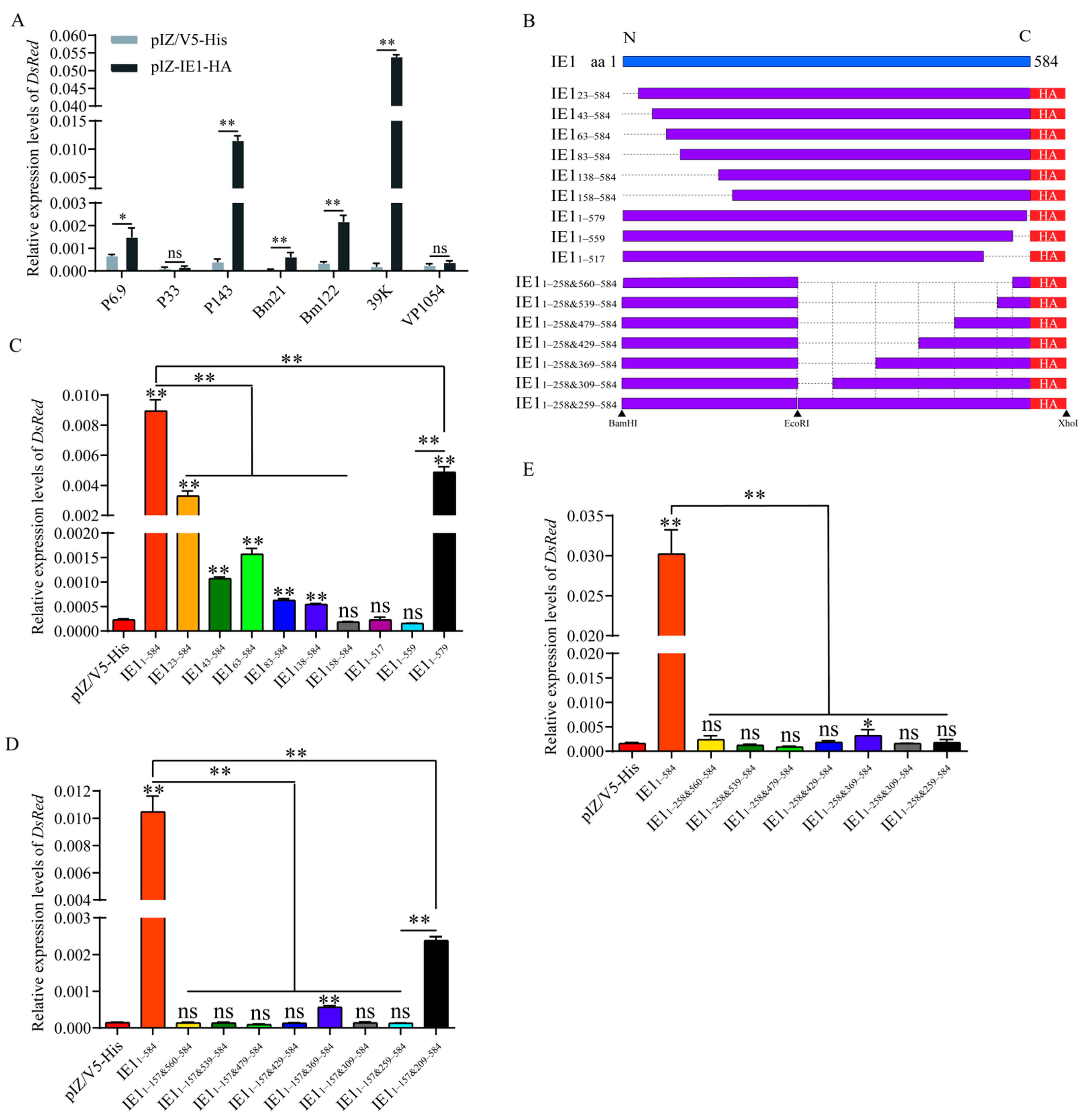 Ijms 23 10276 g004 550