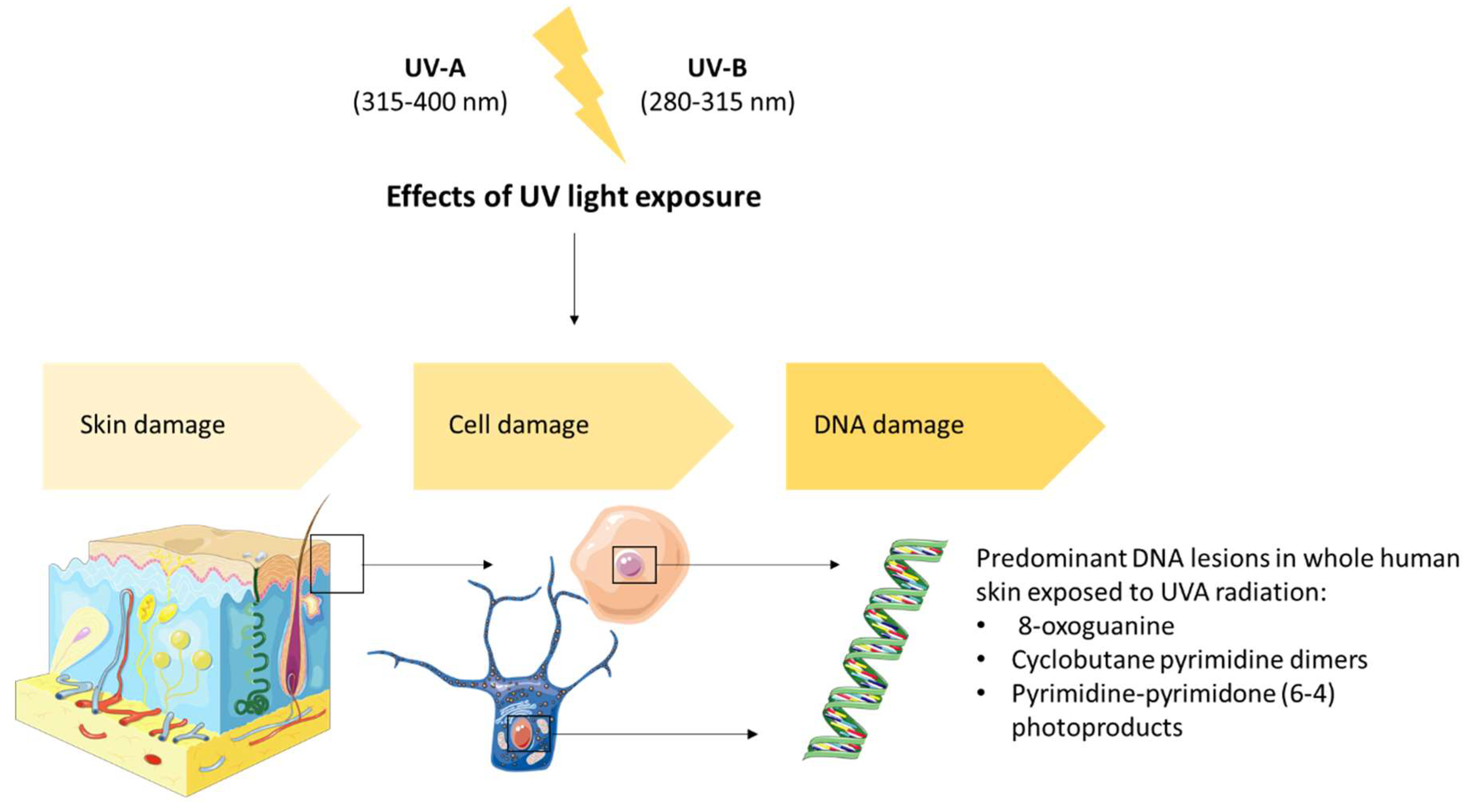 Ijms 23 10284 g002 Ijms 23 10284 g002