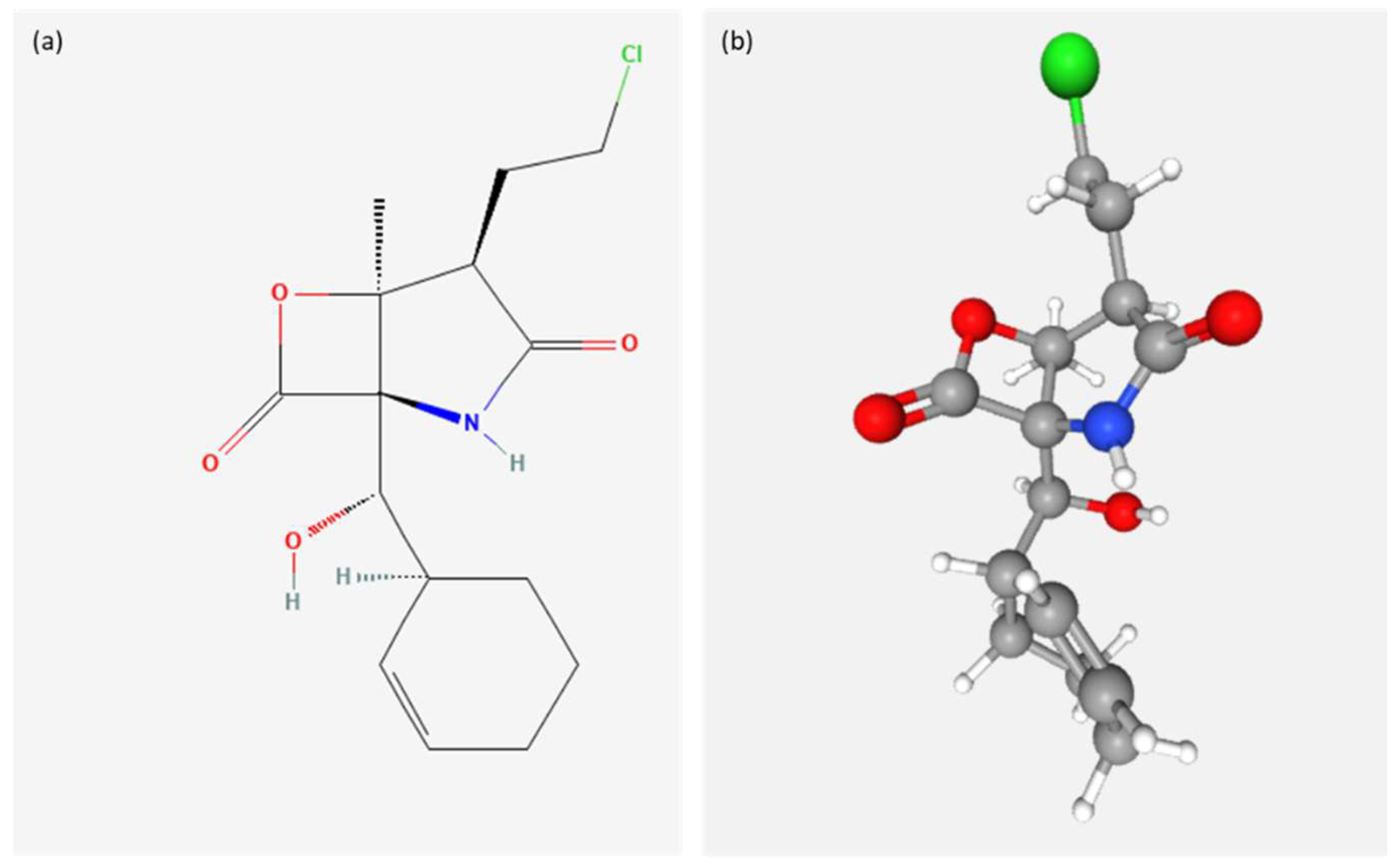 Ijms 23 10284 g004 Ijms 23 10284 g004