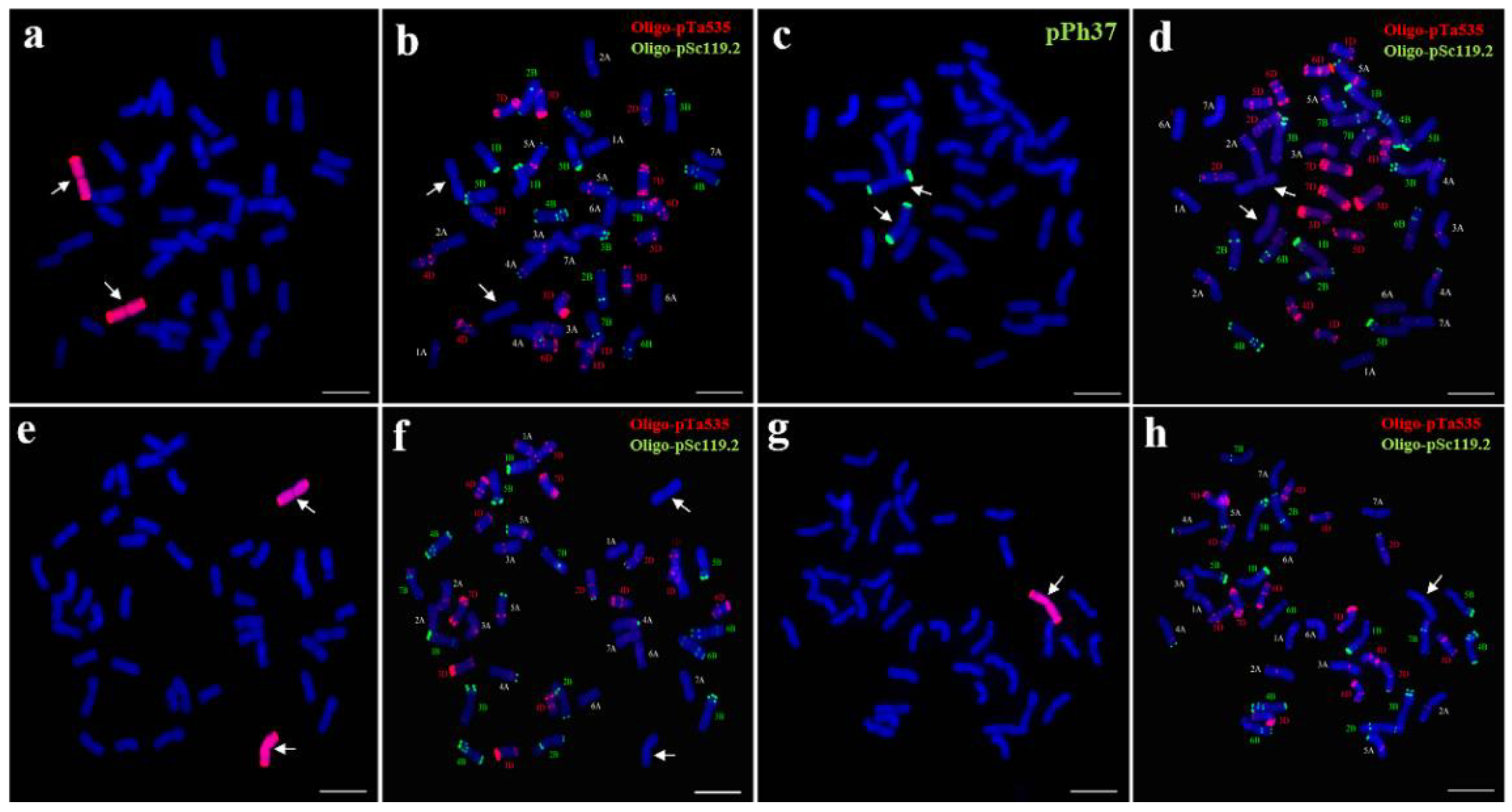 Ijms 23 10285 g001 Ijms 23 10285 g001