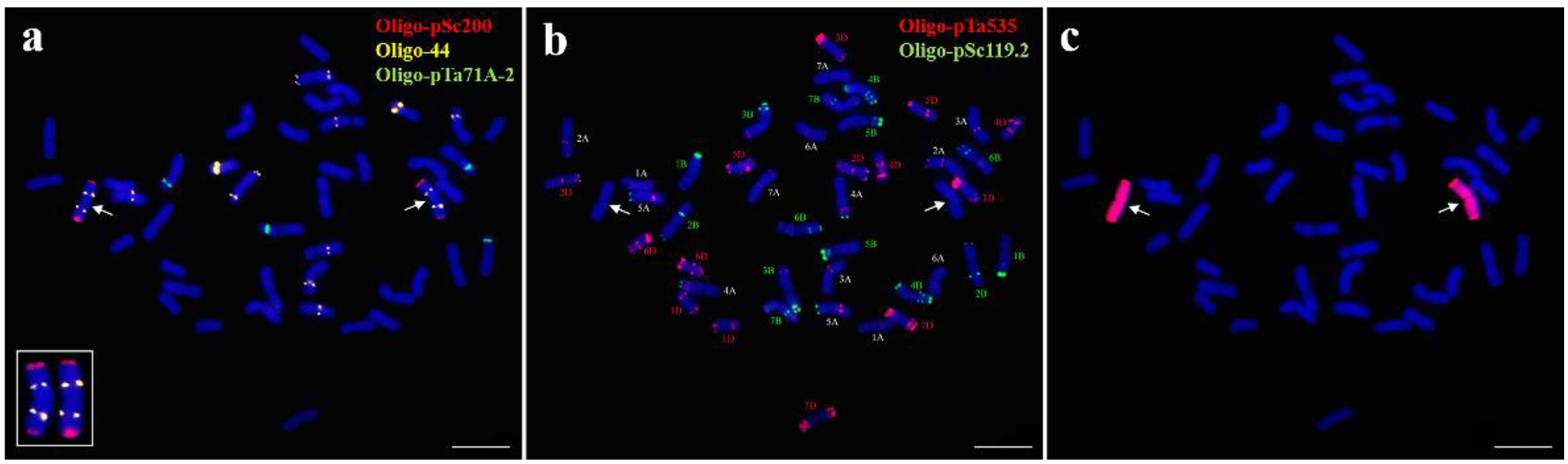 Ijms 23 10285 g002 Ijms 23 10285 g002