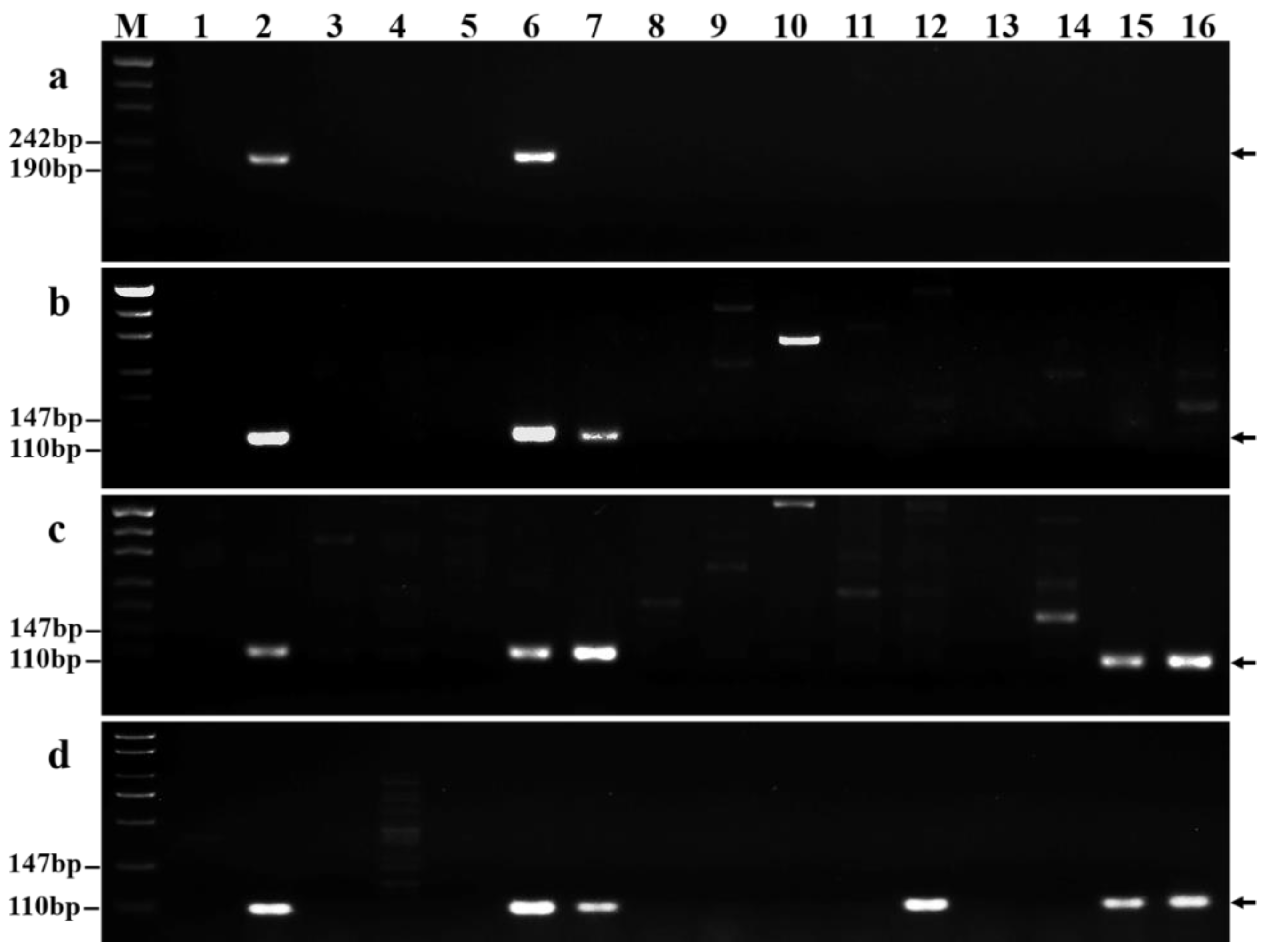 Ijms 23 10285 g007 Ijms 23 10285 g007