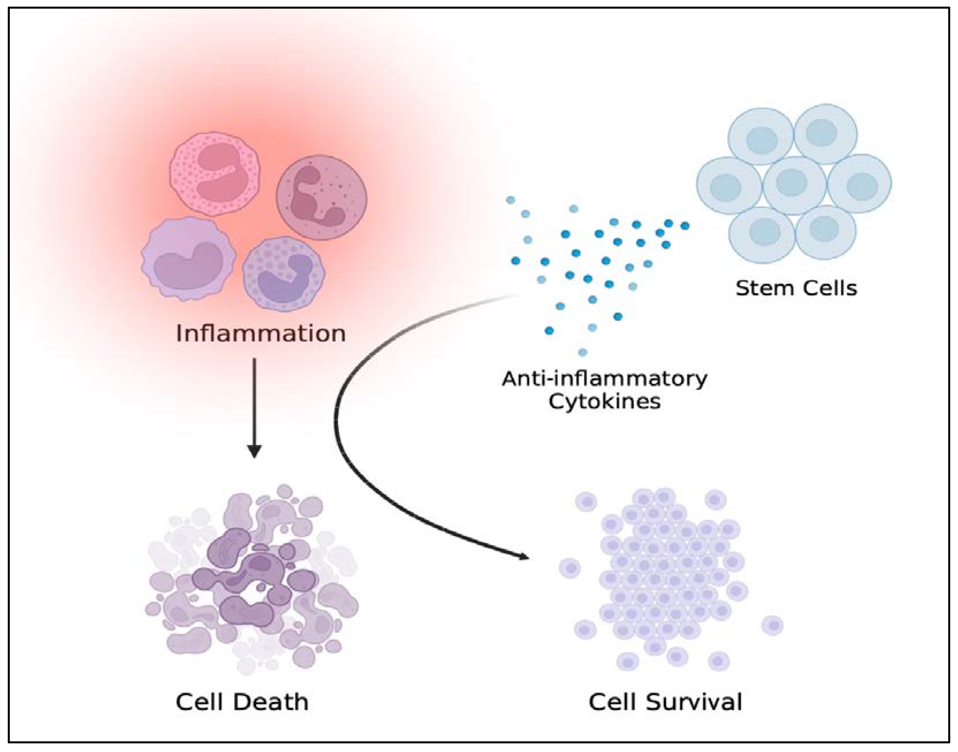 Ijms 23 10286 g002 550