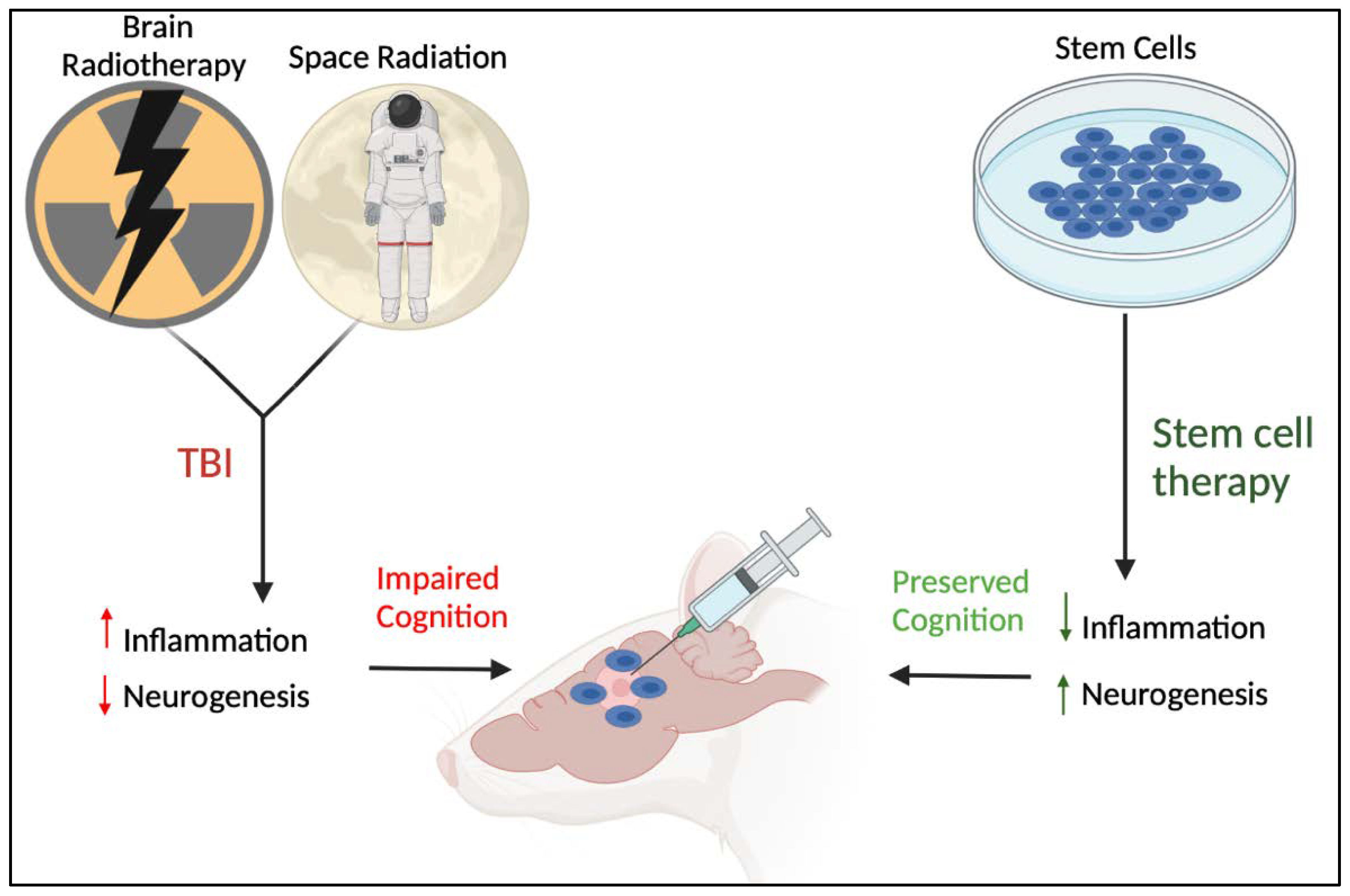 Ijms 23 10286 g003 550