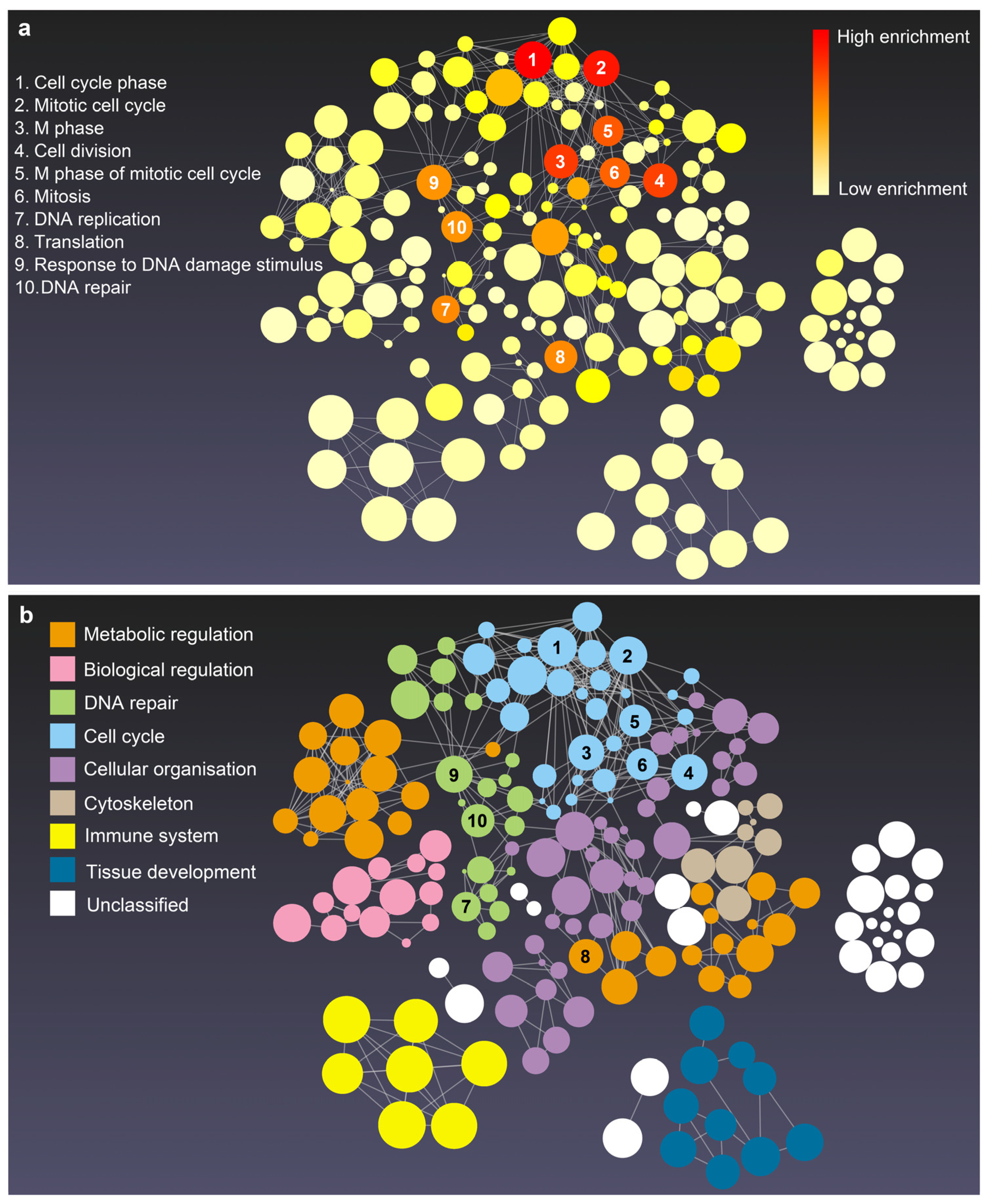 Ijms 23 10287 g004 550