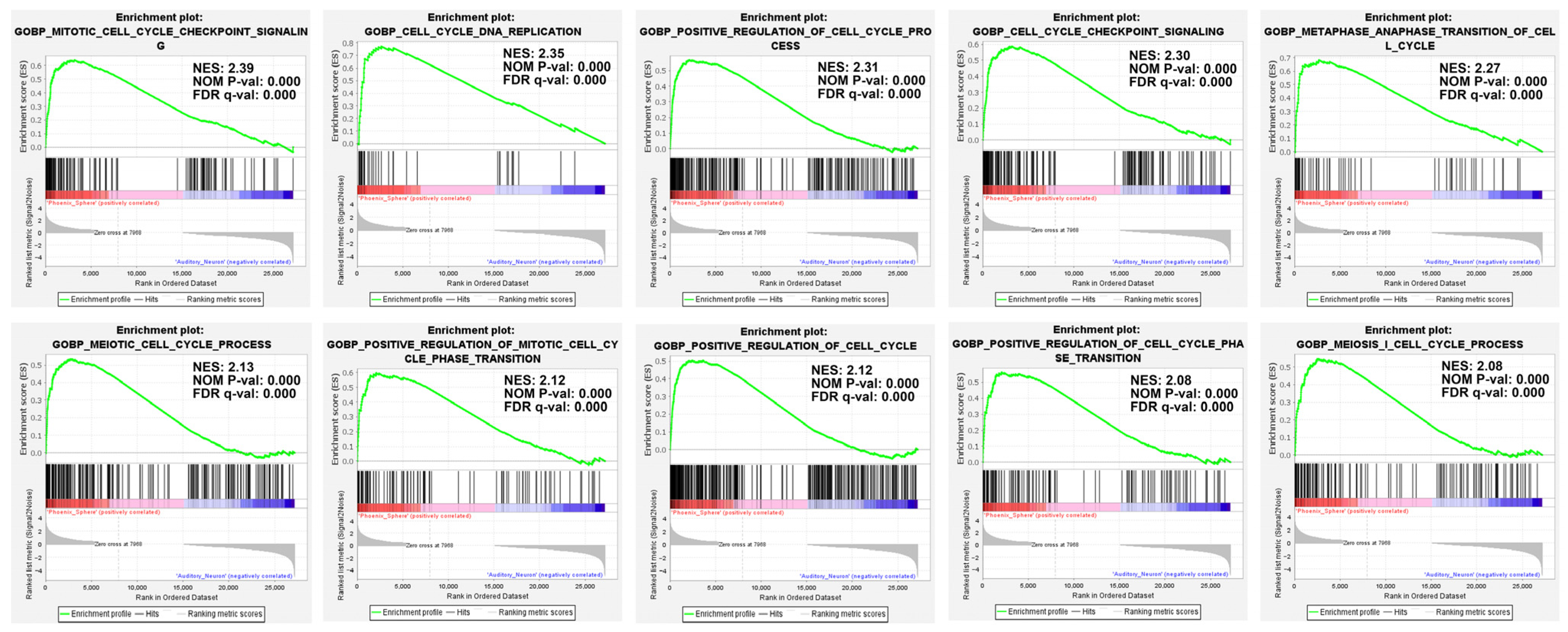 Ijms 23 10287 g005 550