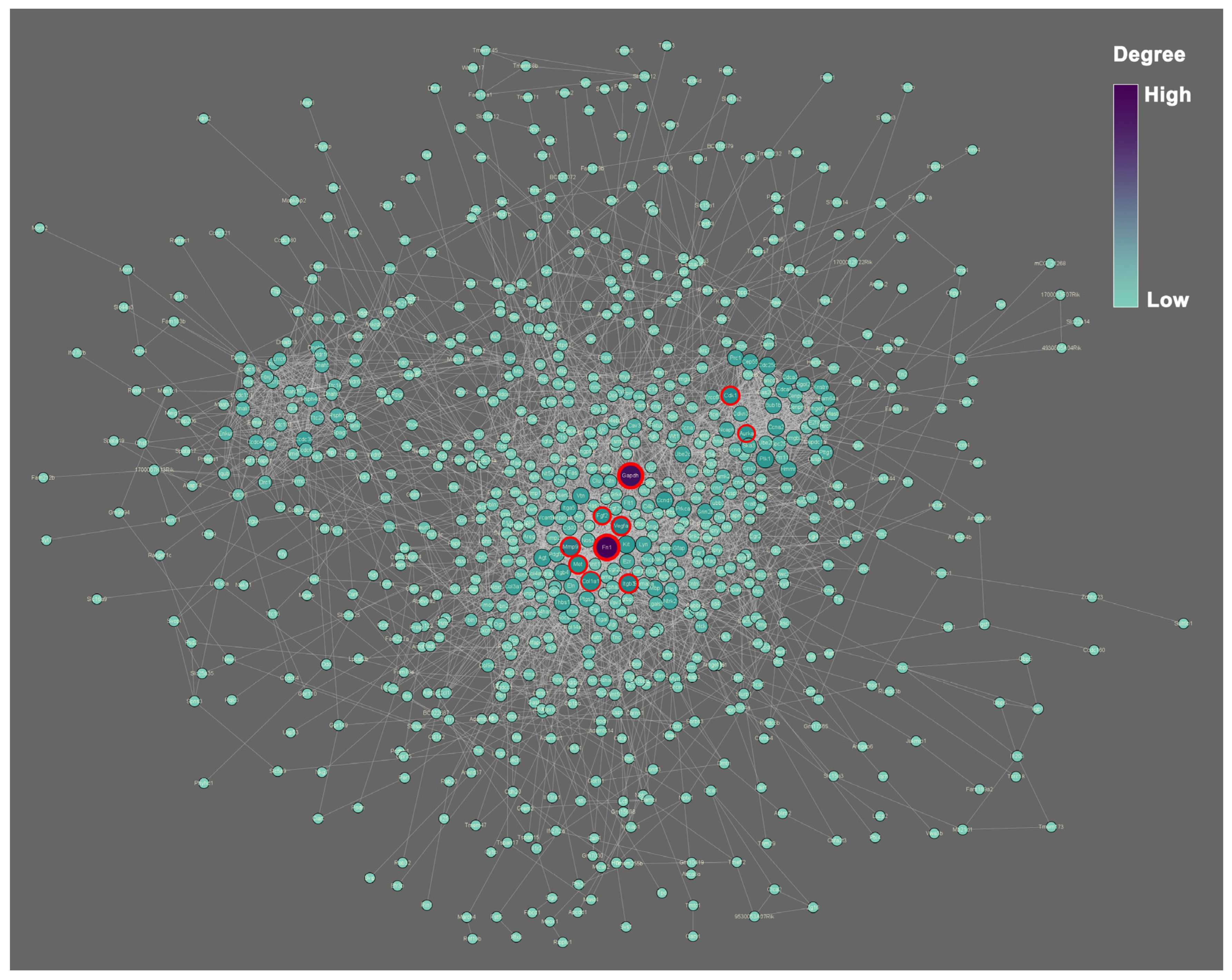 Ijms 23 10287 g006 550