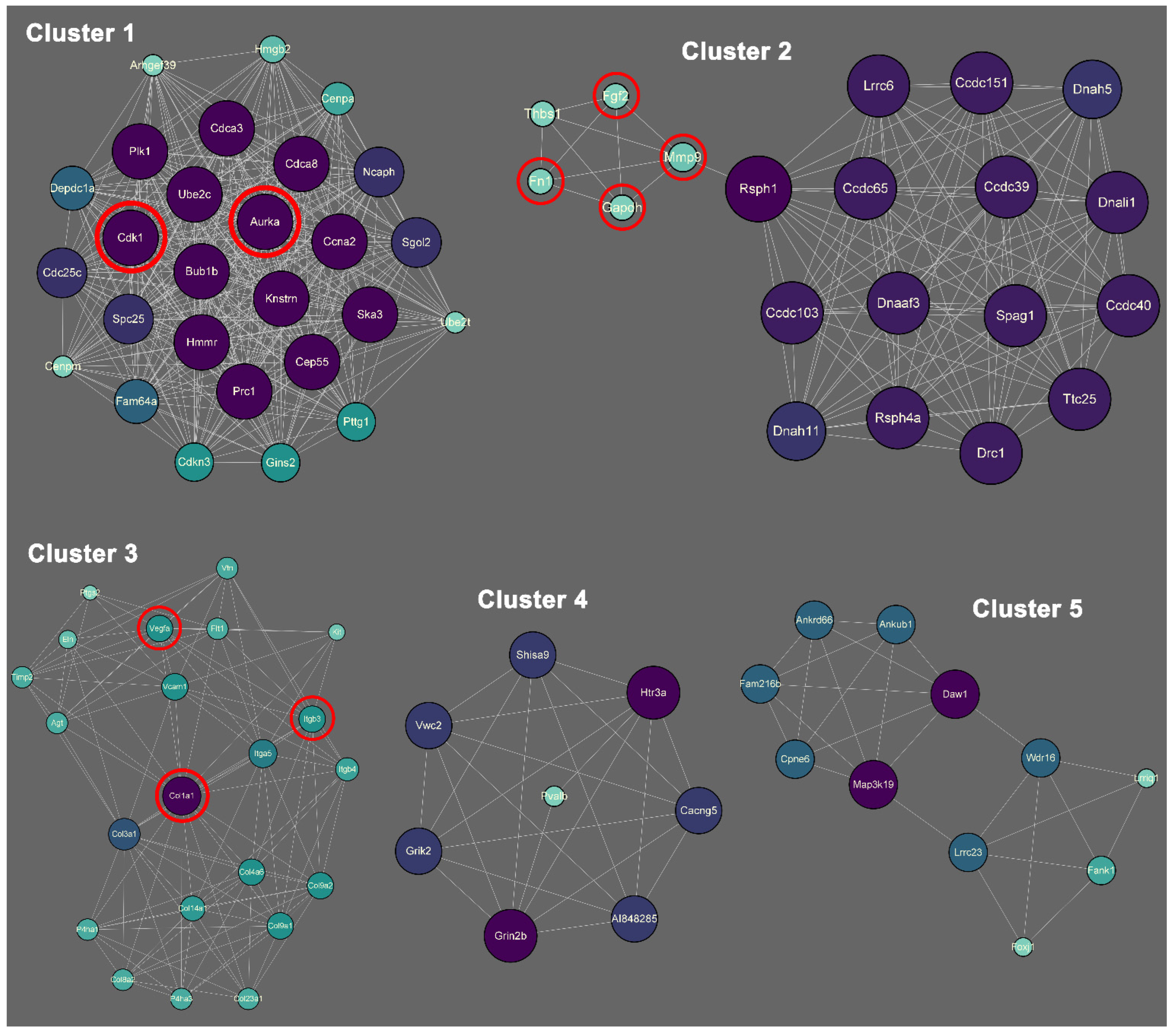 Ijms 23 10287 g007 550