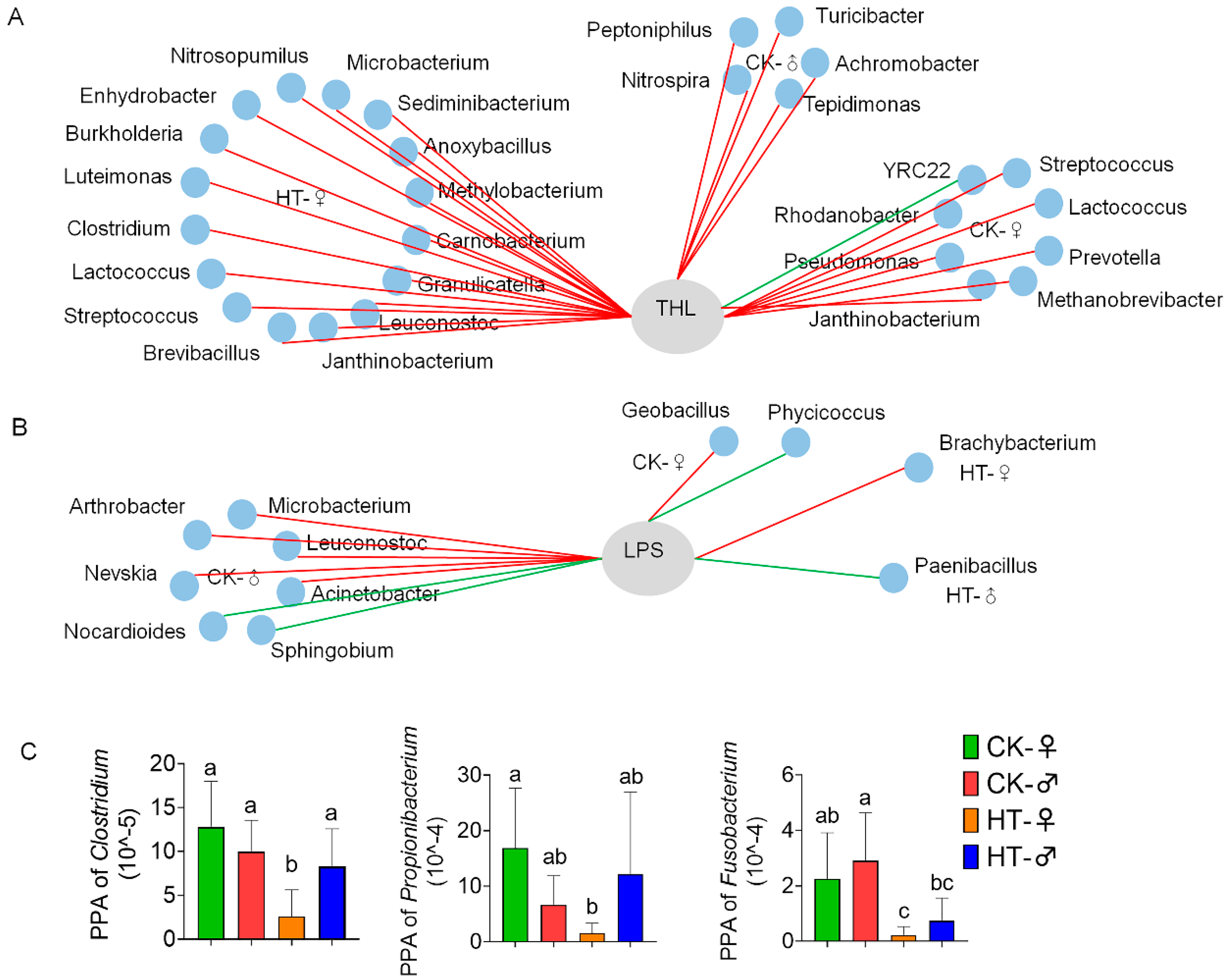 Ijms 23 10289 g006 Ijms 23 10289 g006