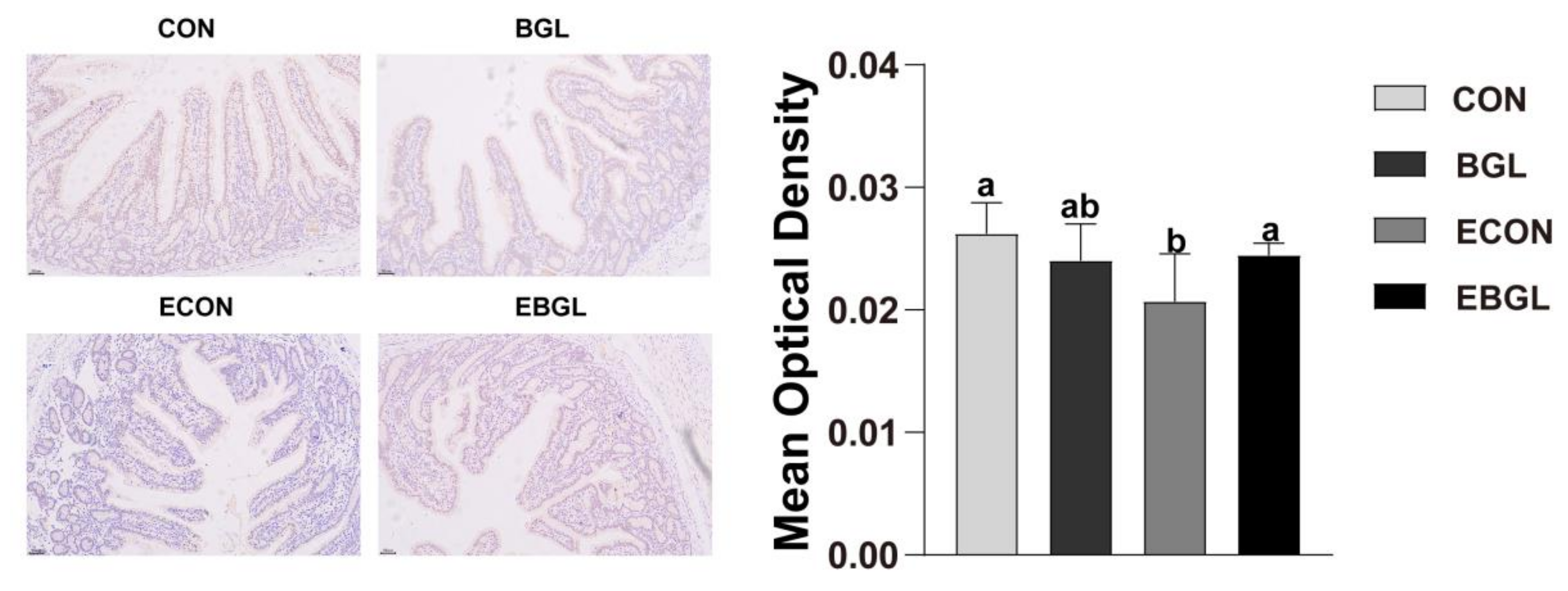 Ijms 23 10290 g004 550