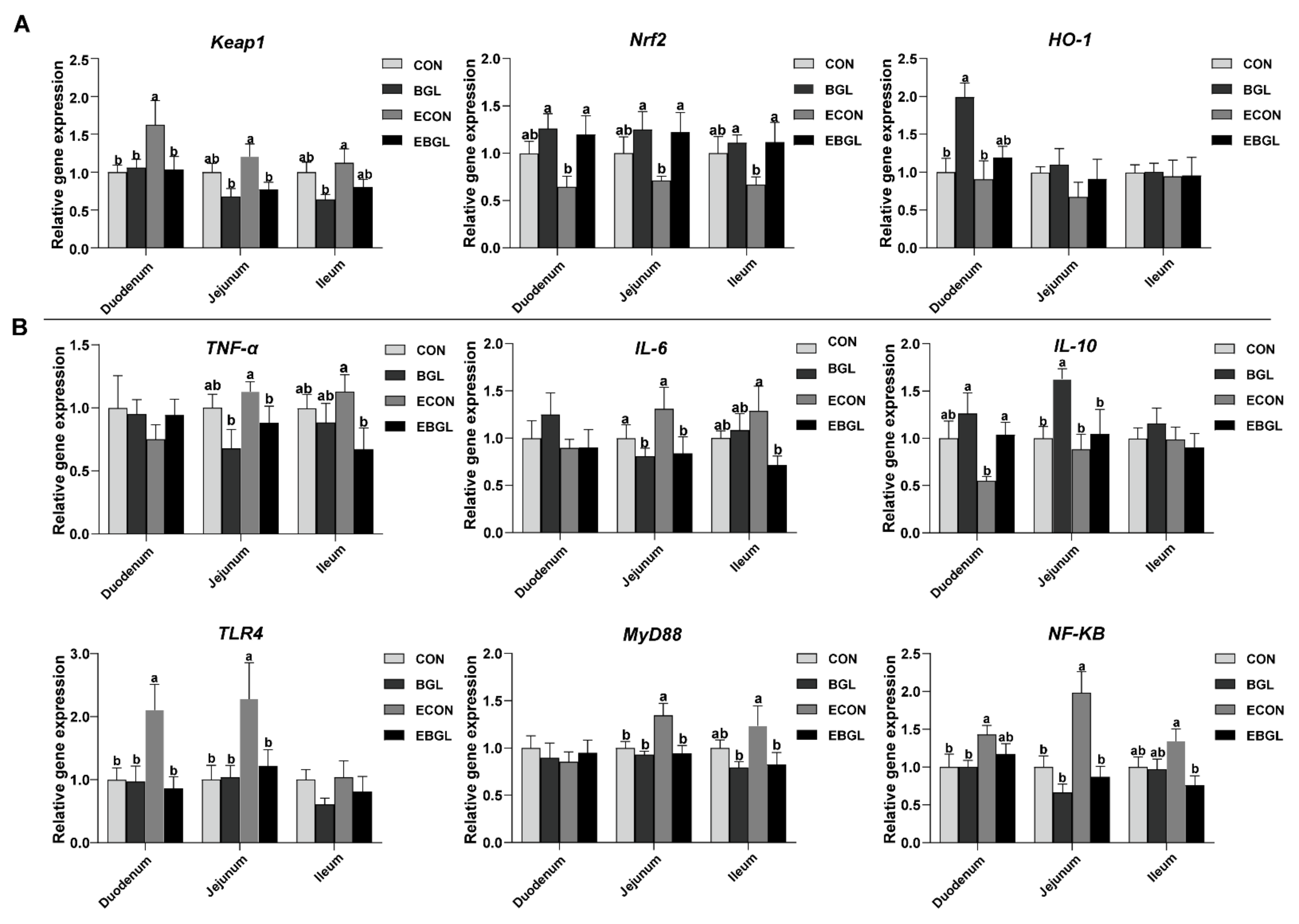 Ijms 23 10290 g005 550