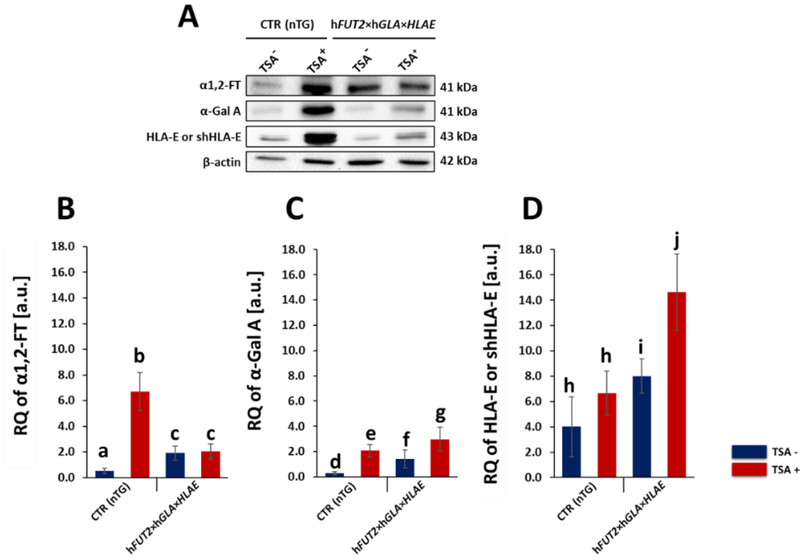 IJMS | Free Full-Text | The Relative Abundances of Human Leukocyte 