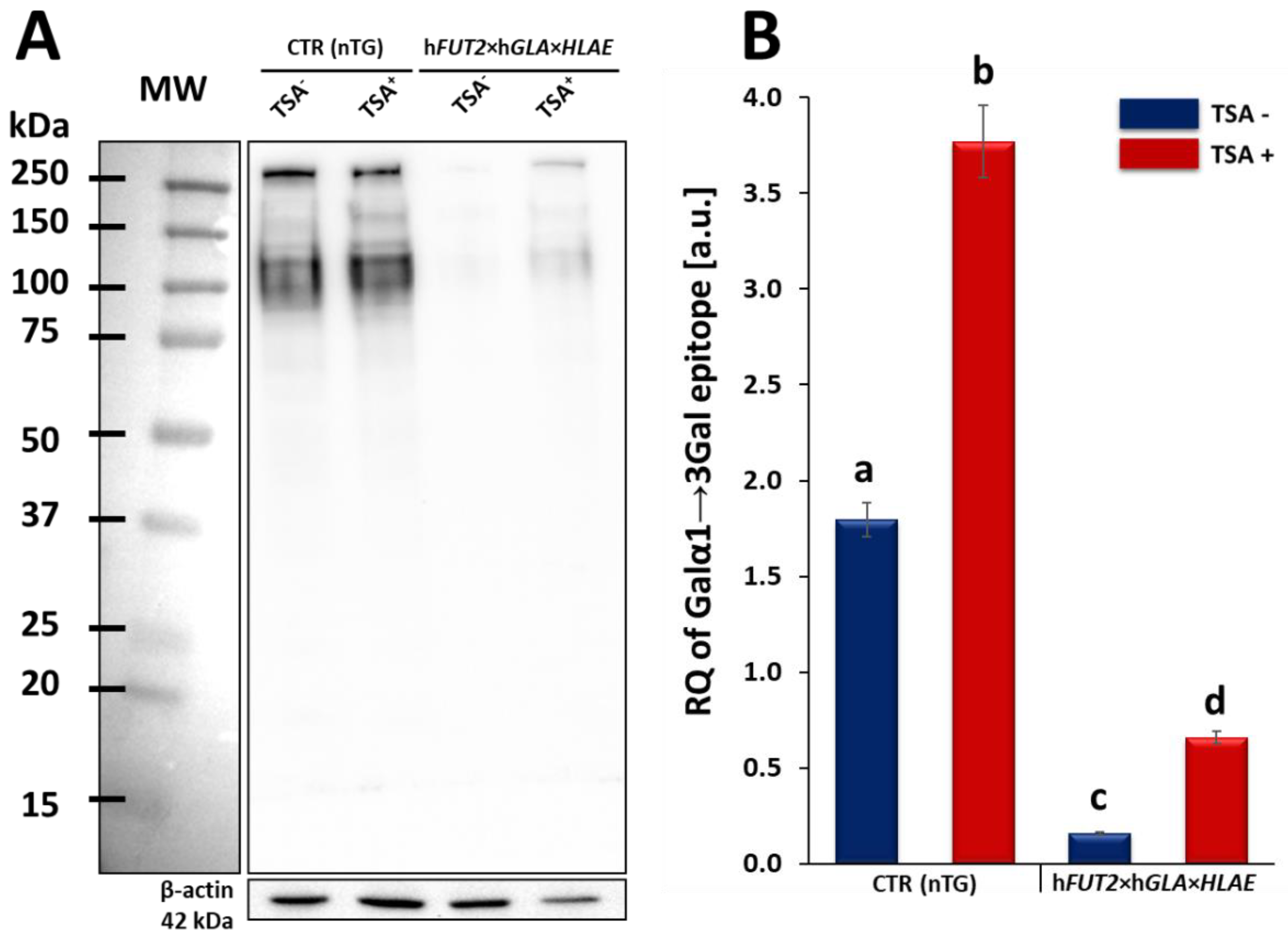 Ijms 23 10296 g005 550