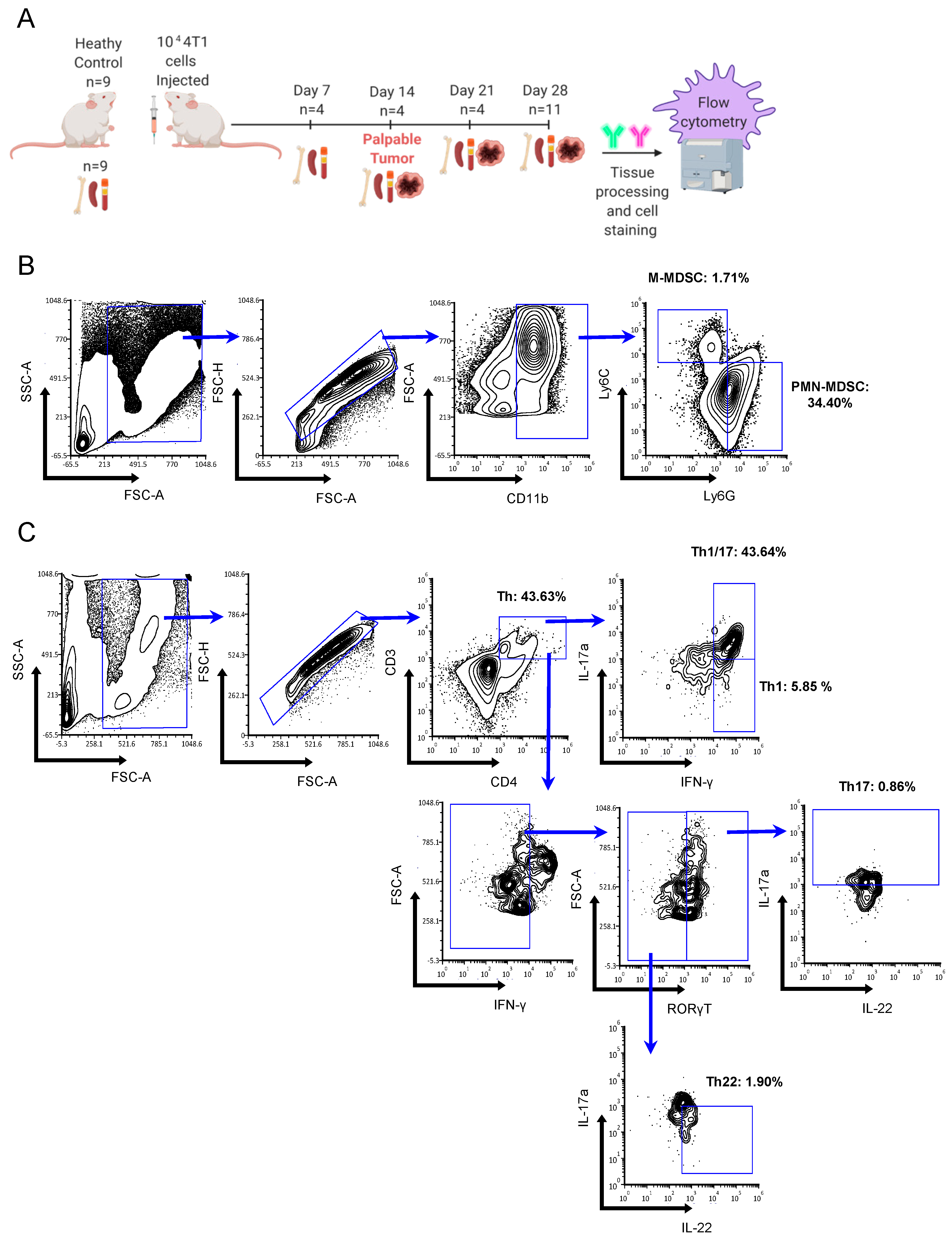 Ijms 23 10299 g002 Ijms 23 10299 g002