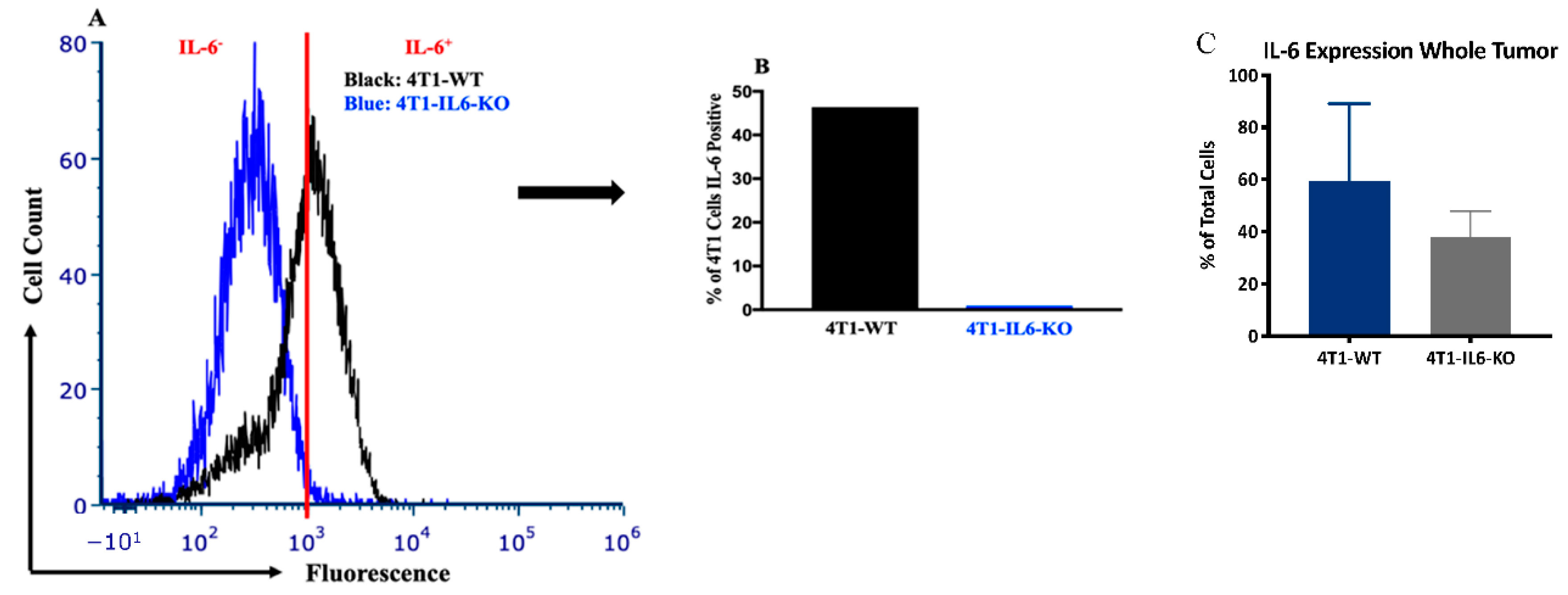 Ijms 23 10299 g007 Ijms 23 10299 g007